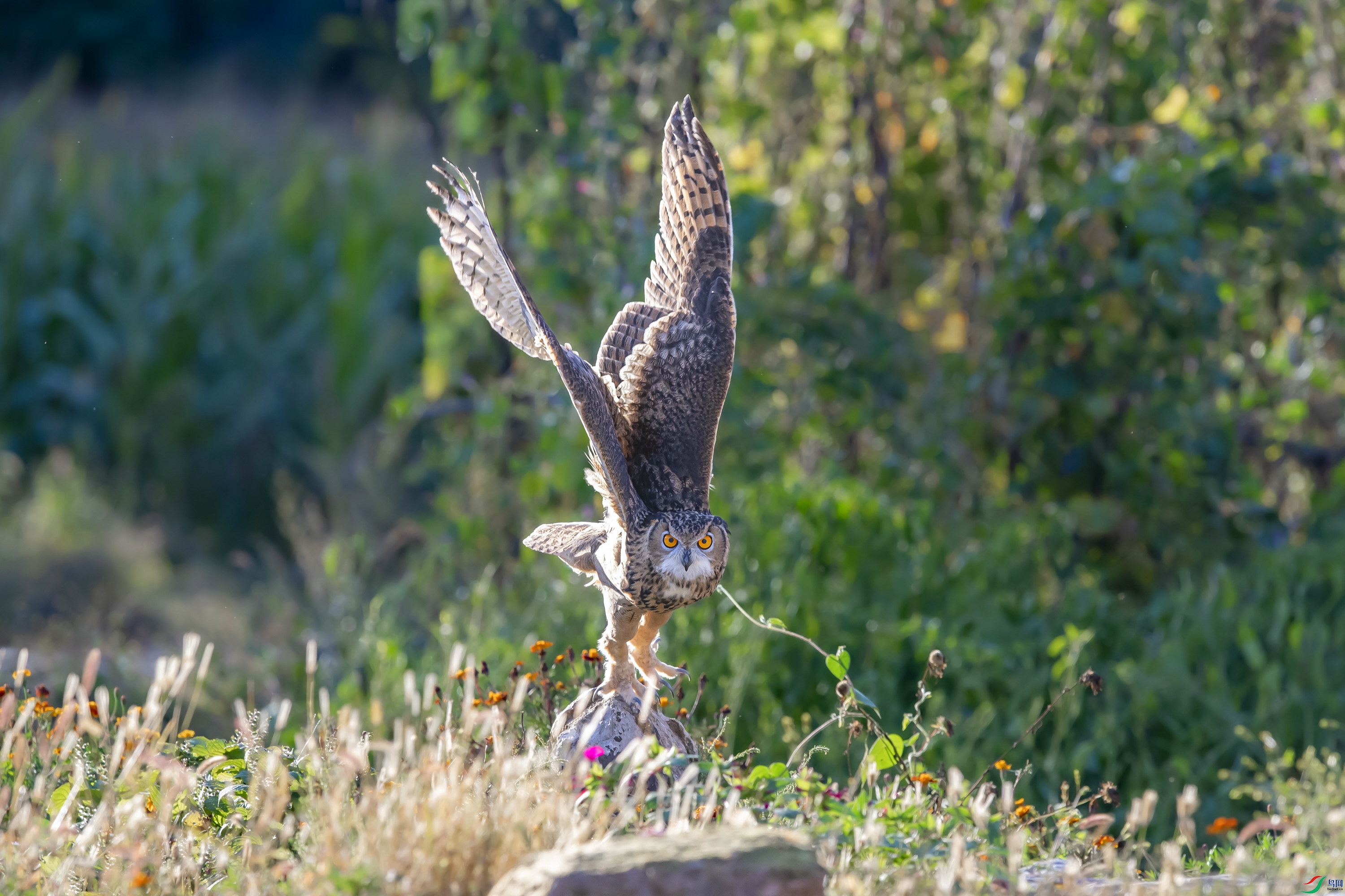 DSC_5150.jpg