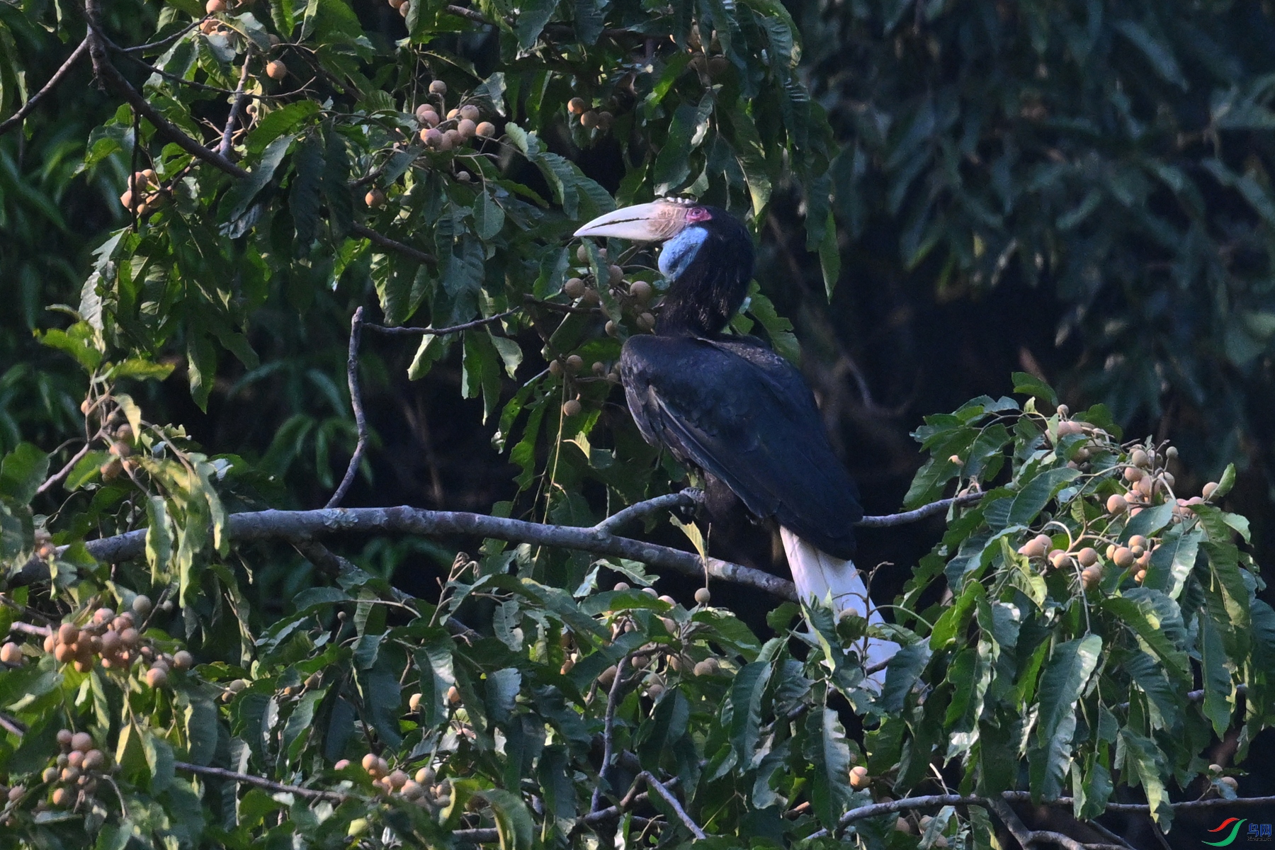 DSC_5228.JPG