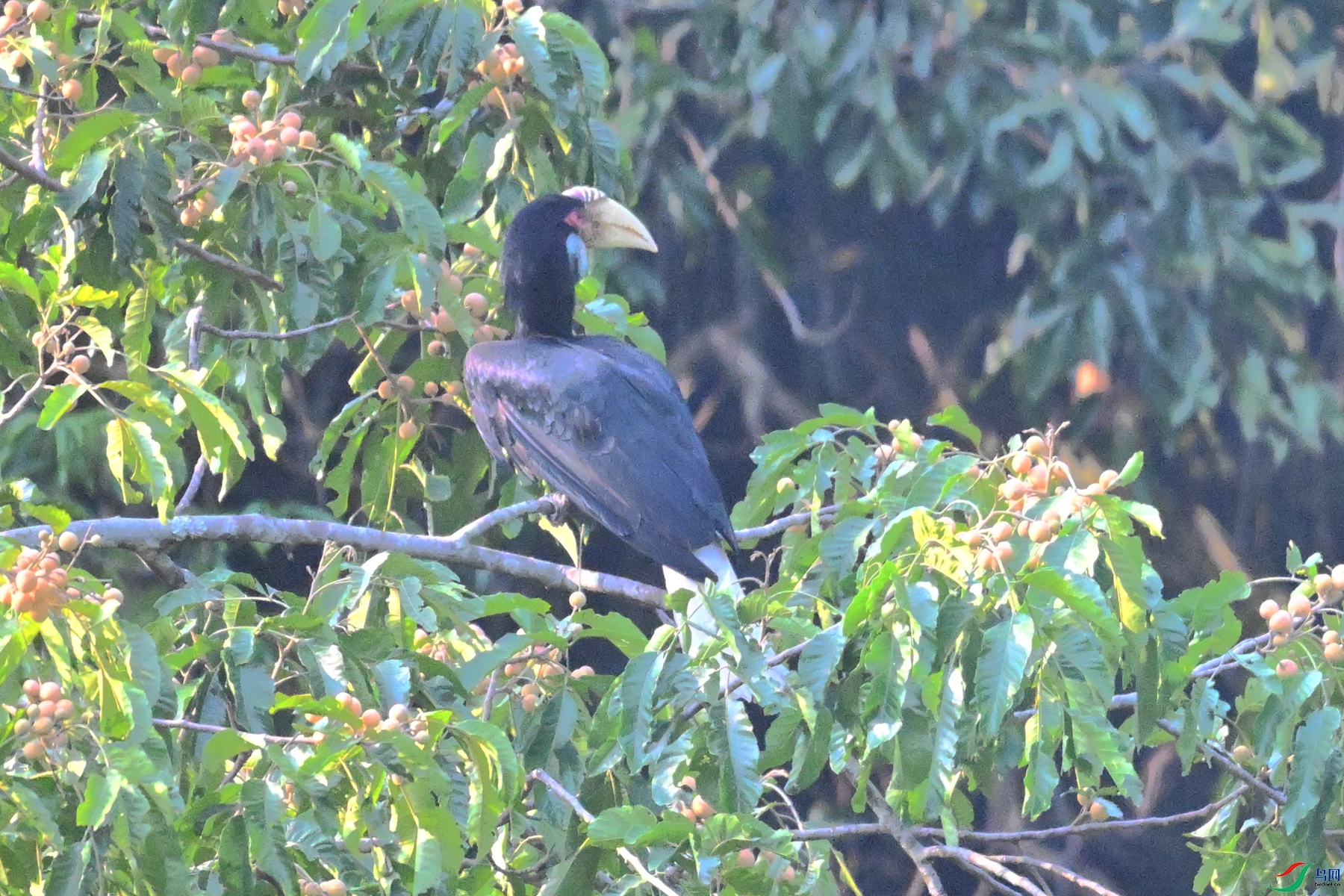 DSC_5248.JPG