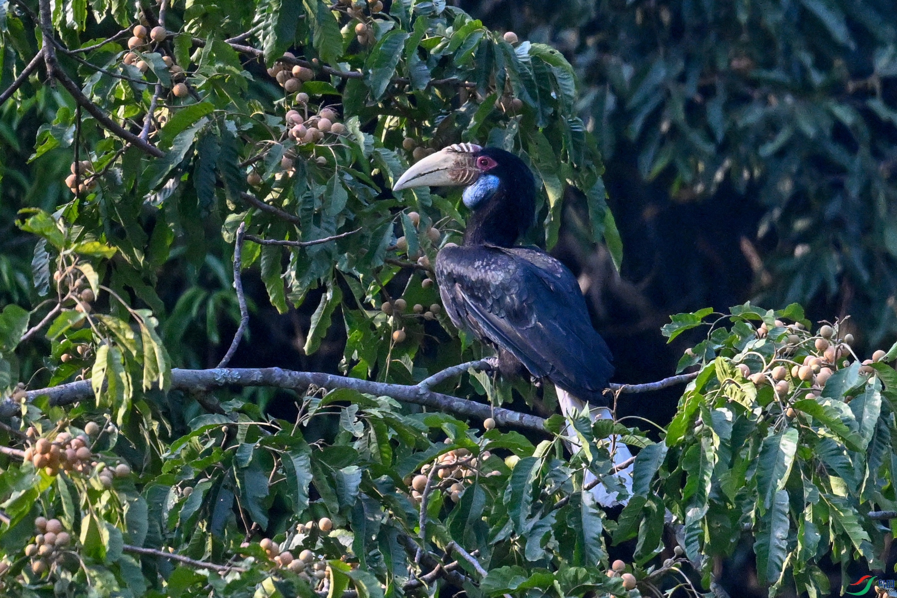 DSC_5231.JPG