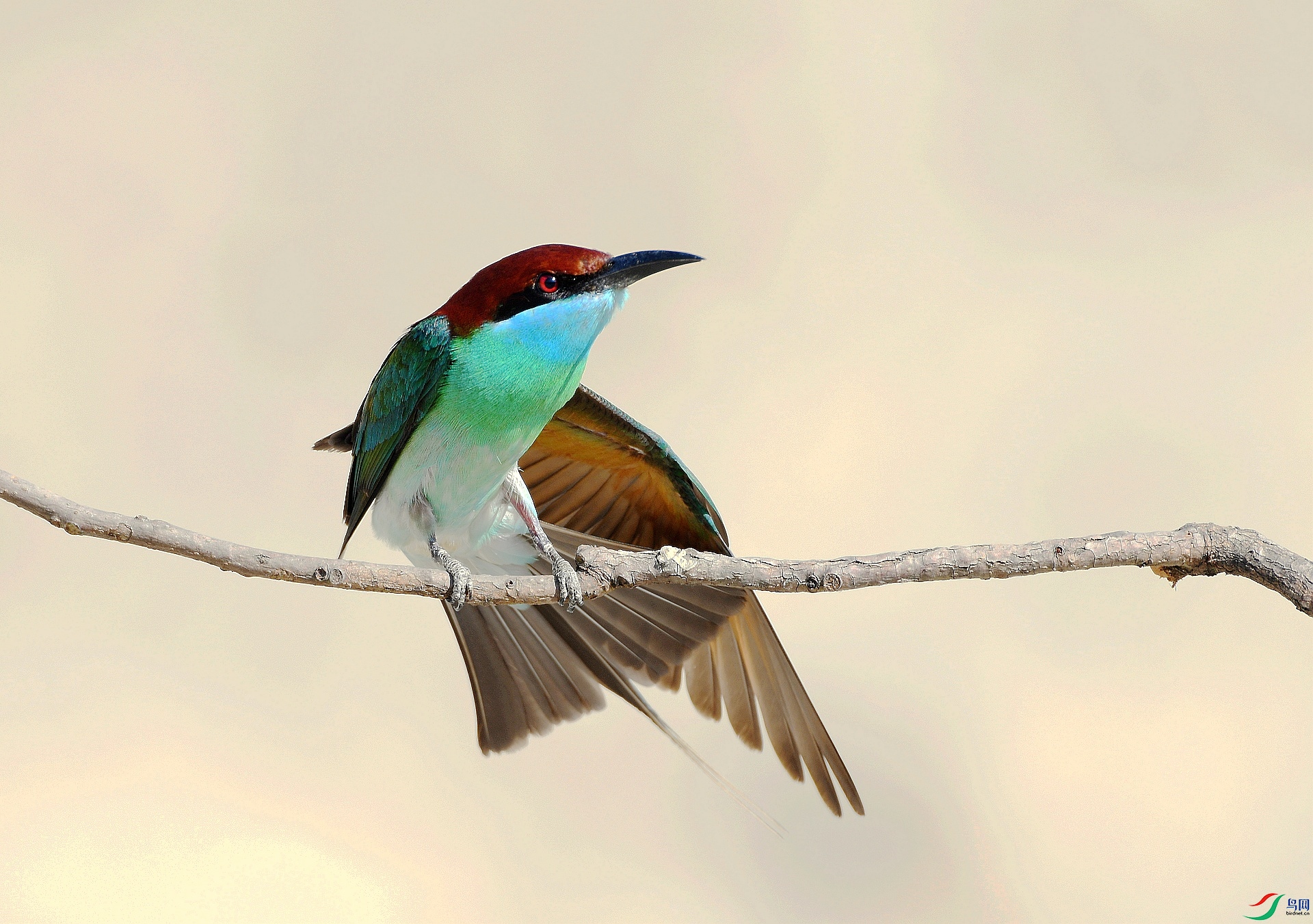 DSC_0722.jpg