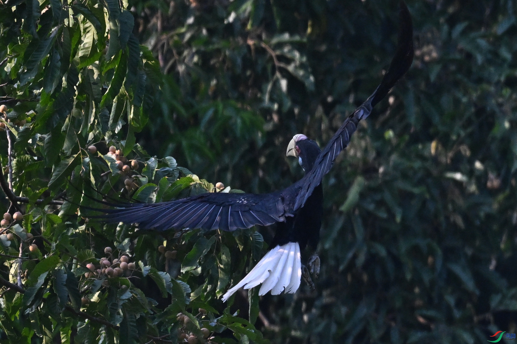DSC_5269.JPG