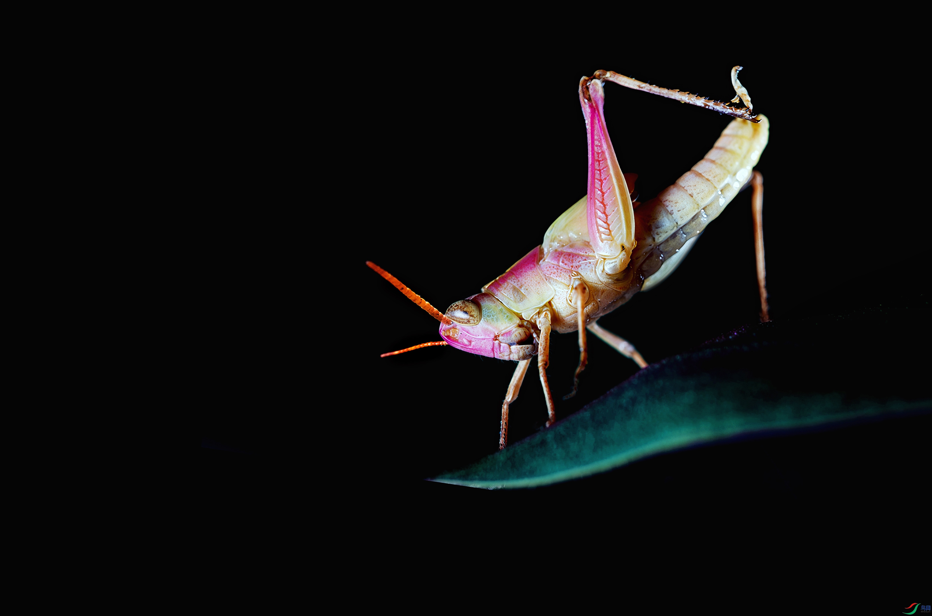 7Q3A5382.jpg