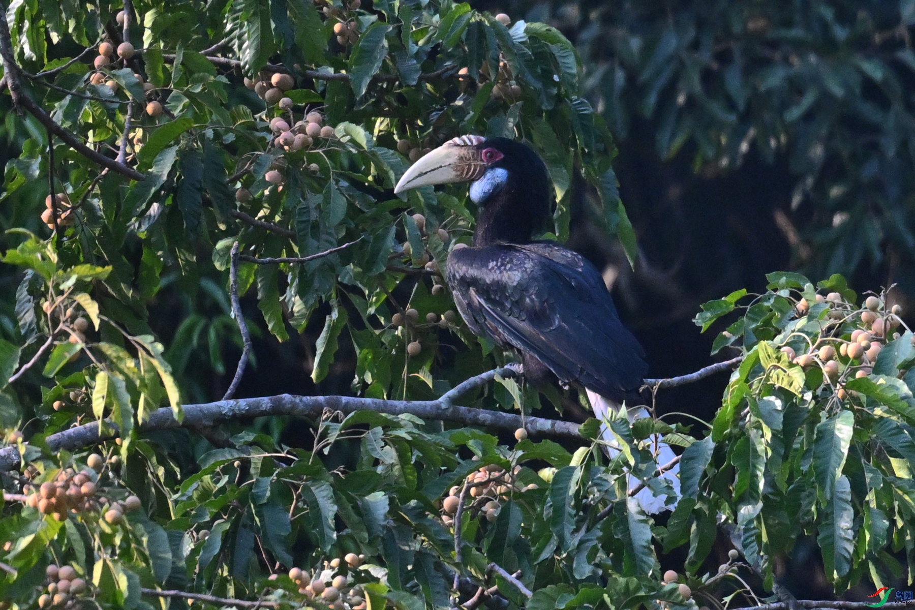 DSC_5233.JPG