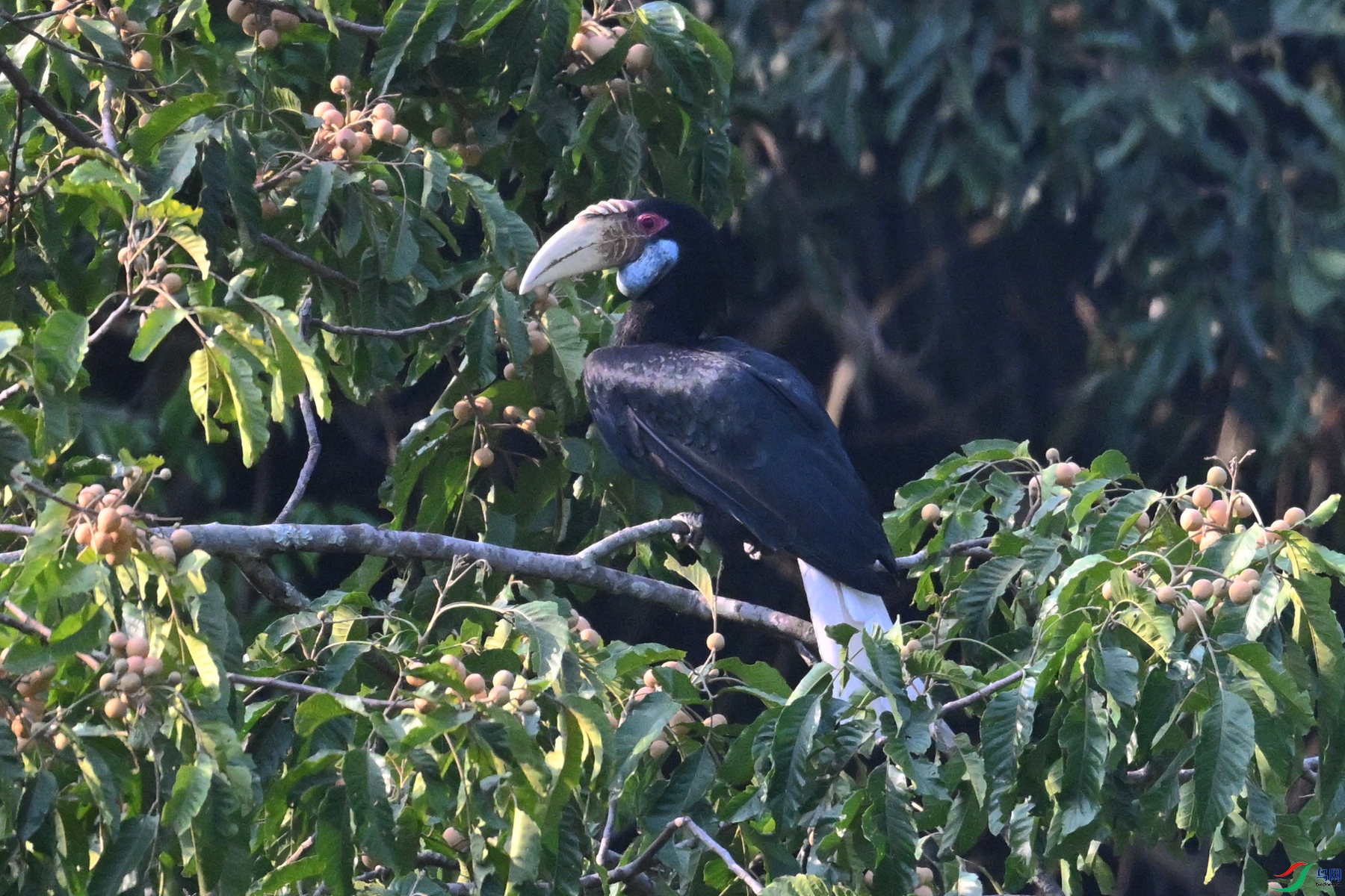 DSC_5238.JPG