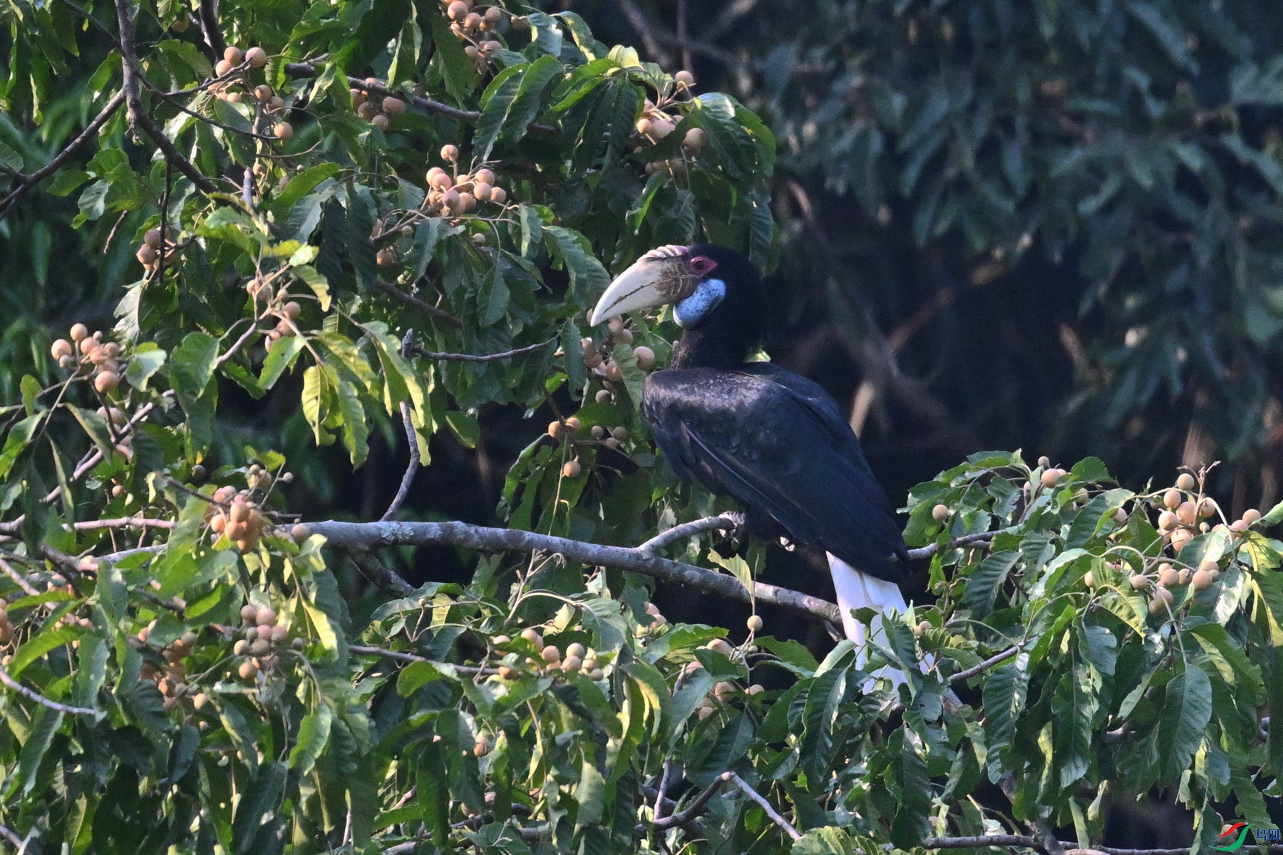 DSC_5240.JPG