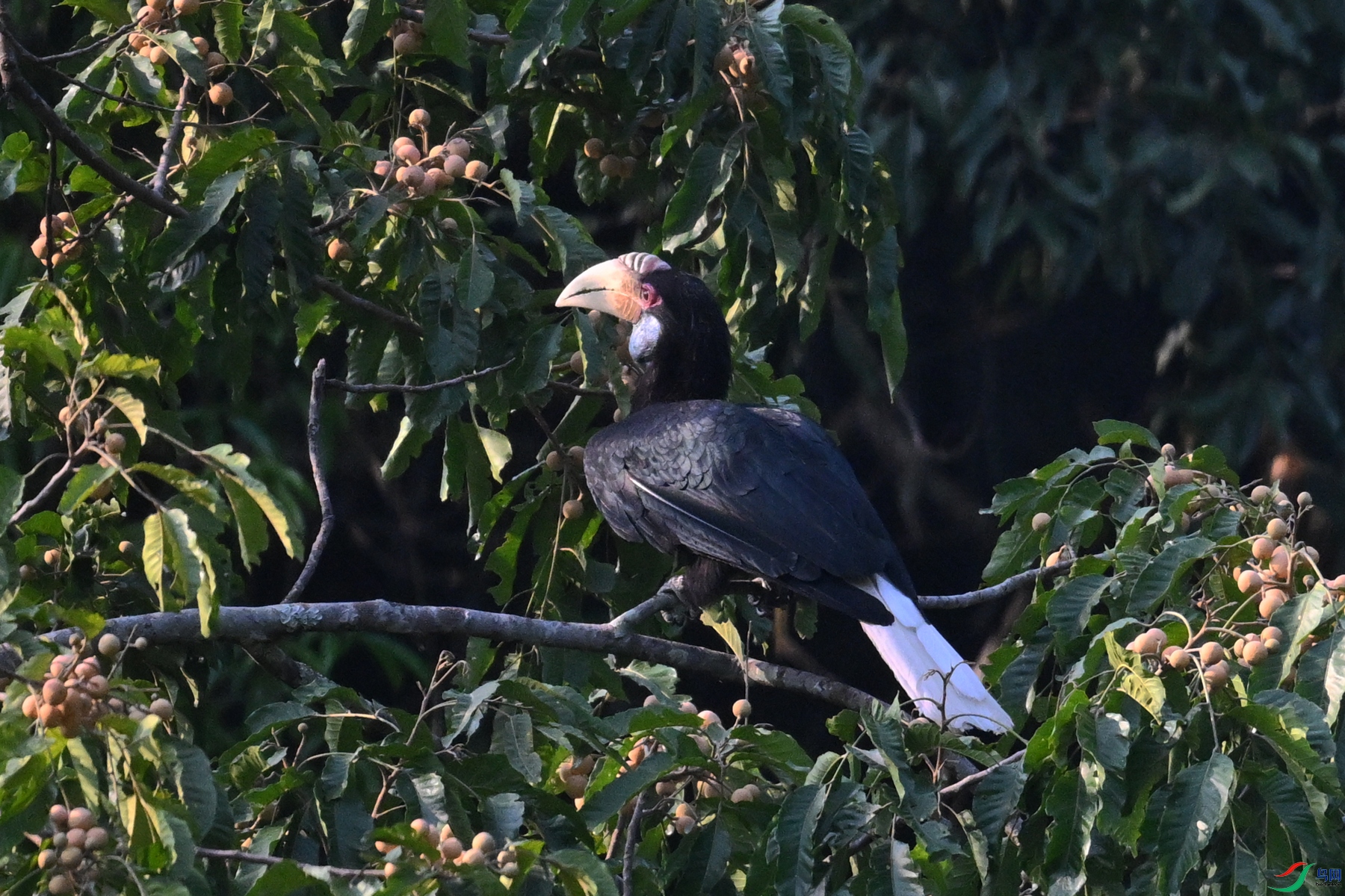 DSC_5253.JPG