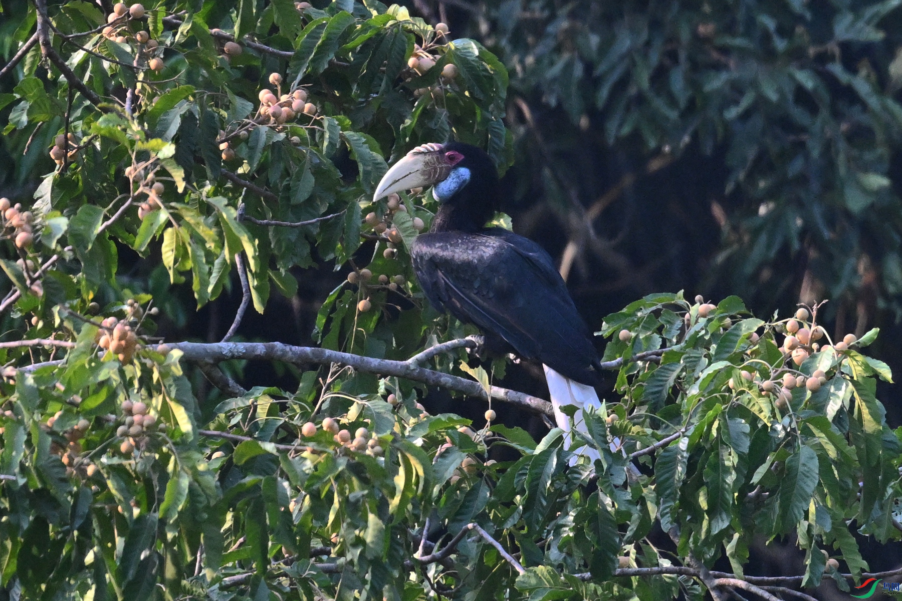 DSC_5241.JPG