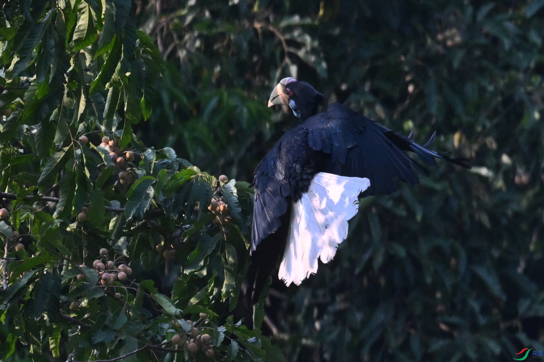 DSC_5271.JPG