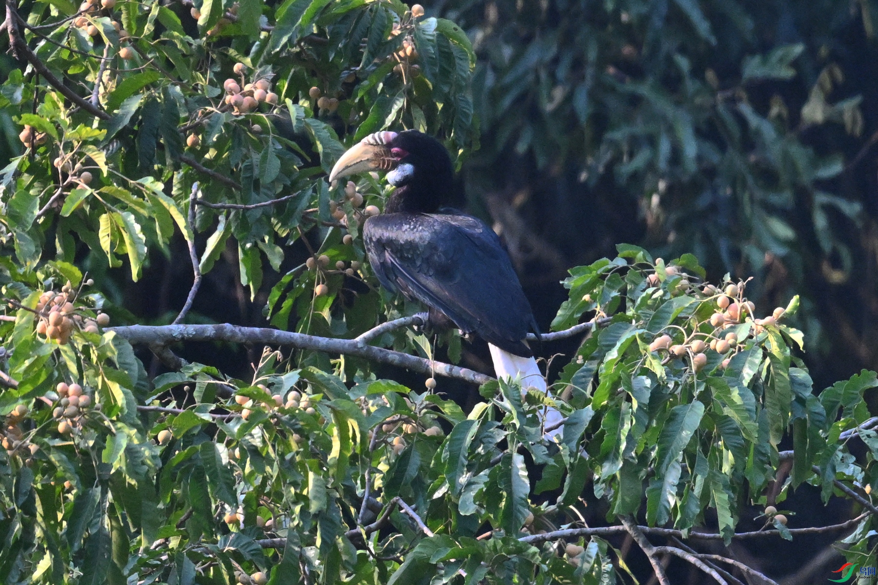 DSC_5243.JPG
