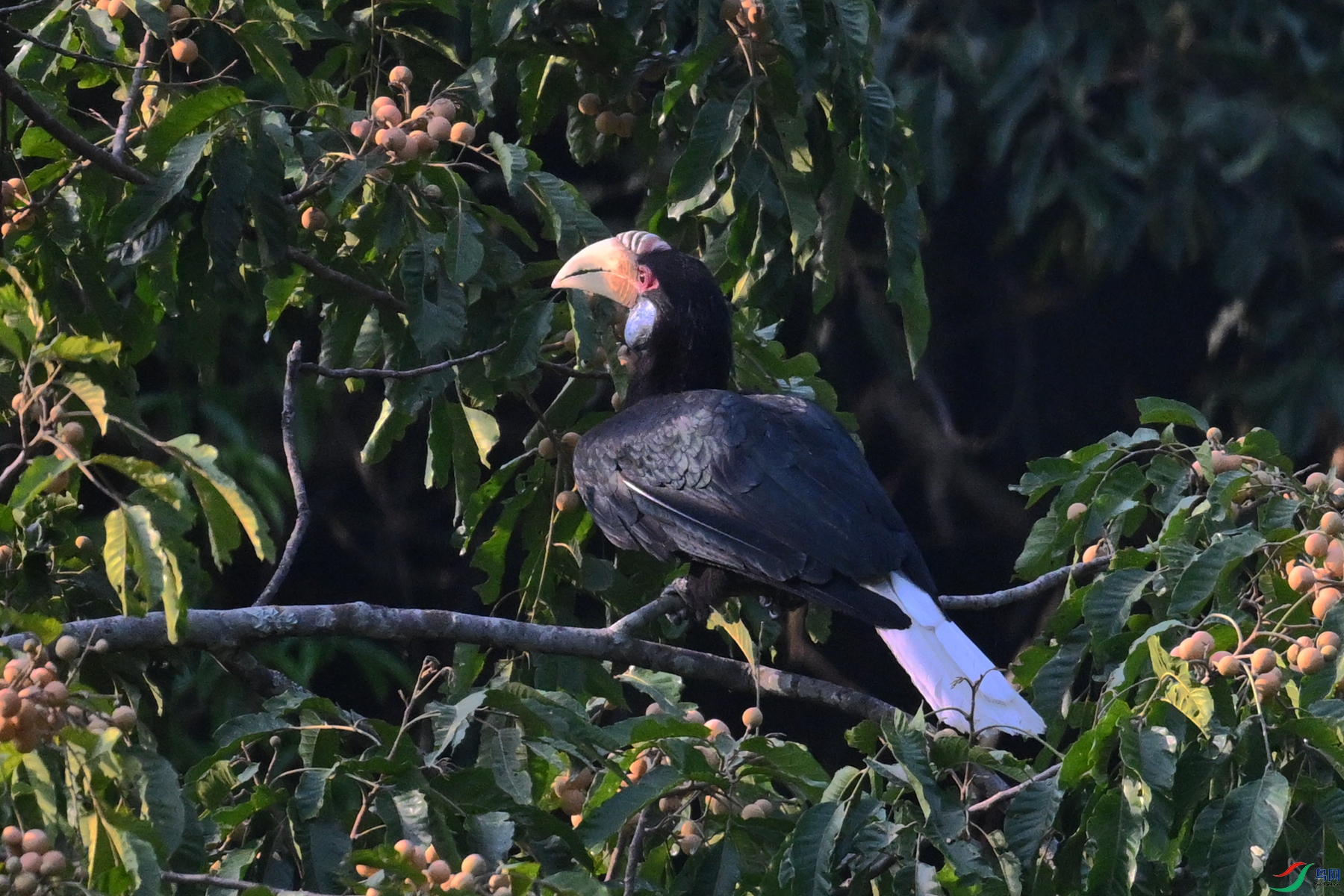 DSC_5254.JPG