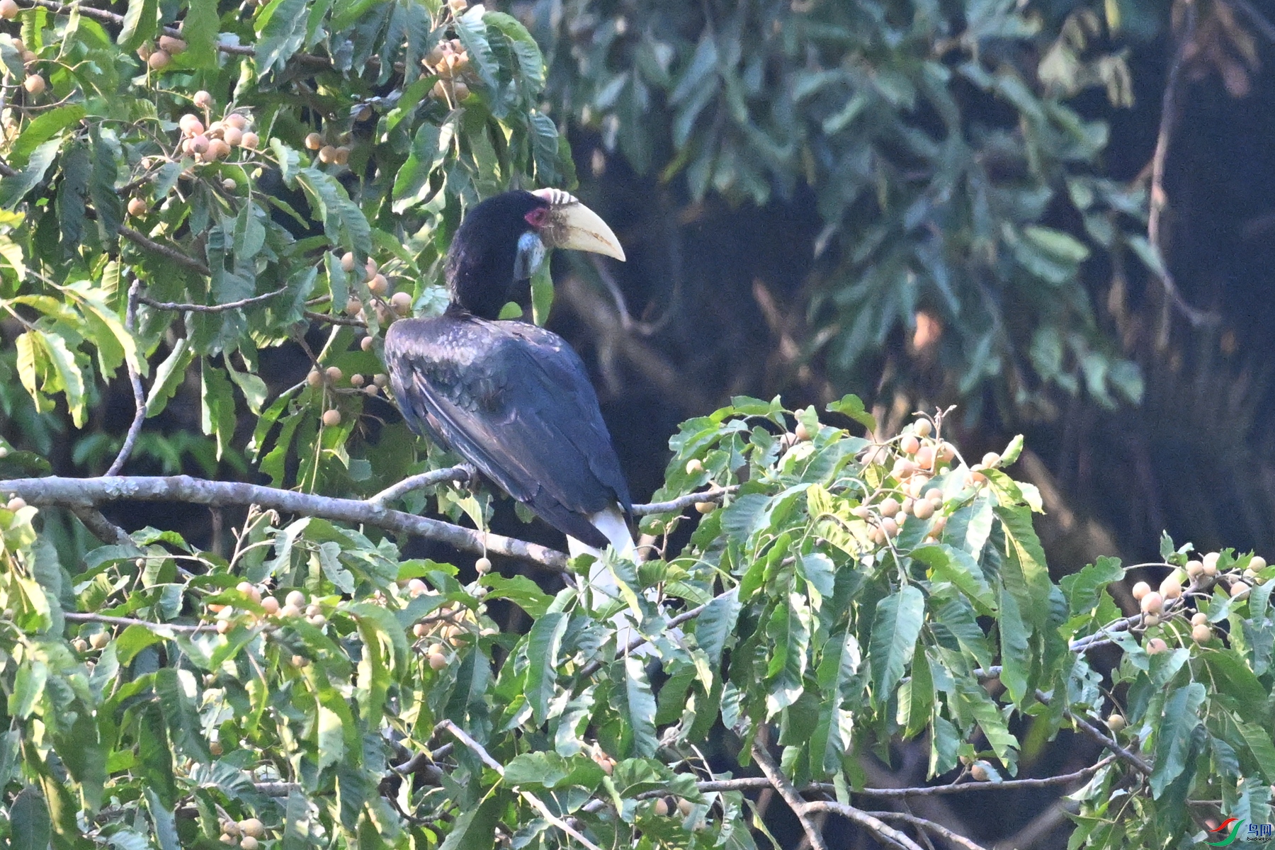 DSC_5252.JPG