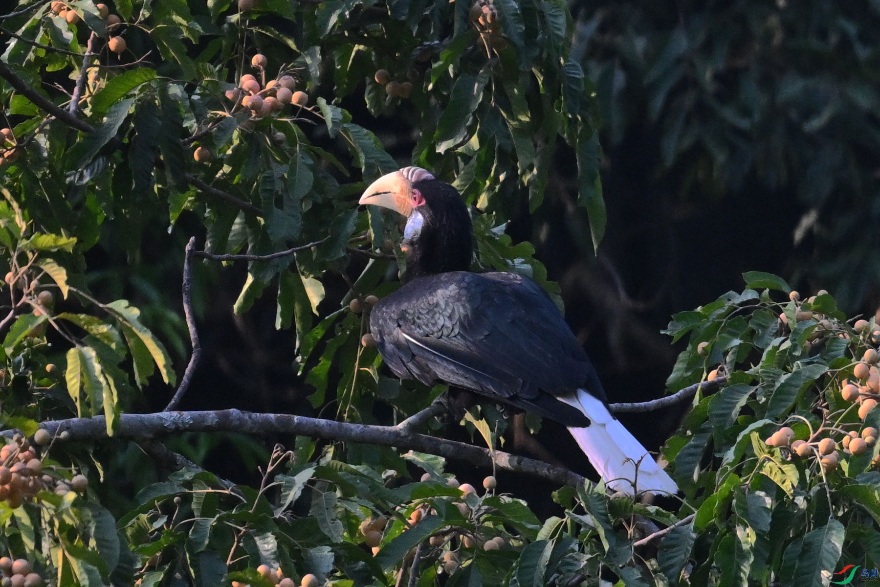 DSC_5255.JPG
