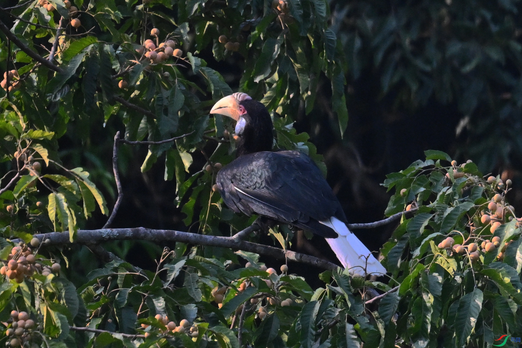 DSC_5256.JPG