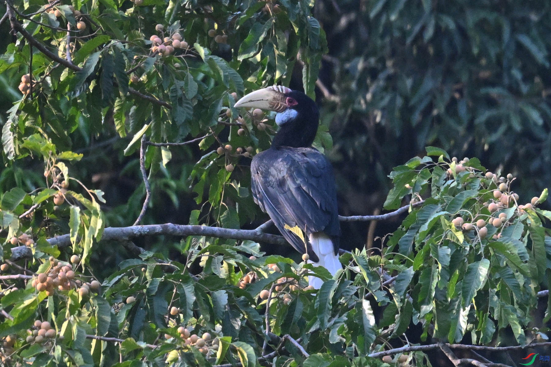 DSC_5260.JPG