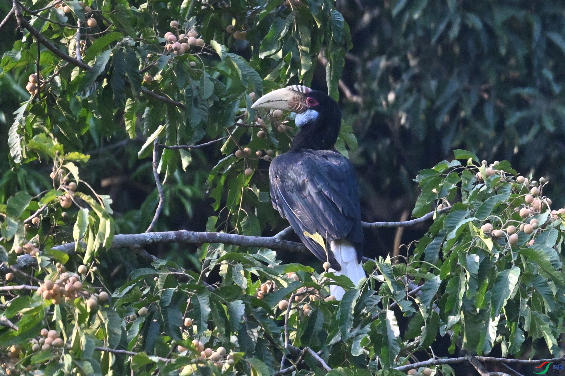 DSC_5262.JPG