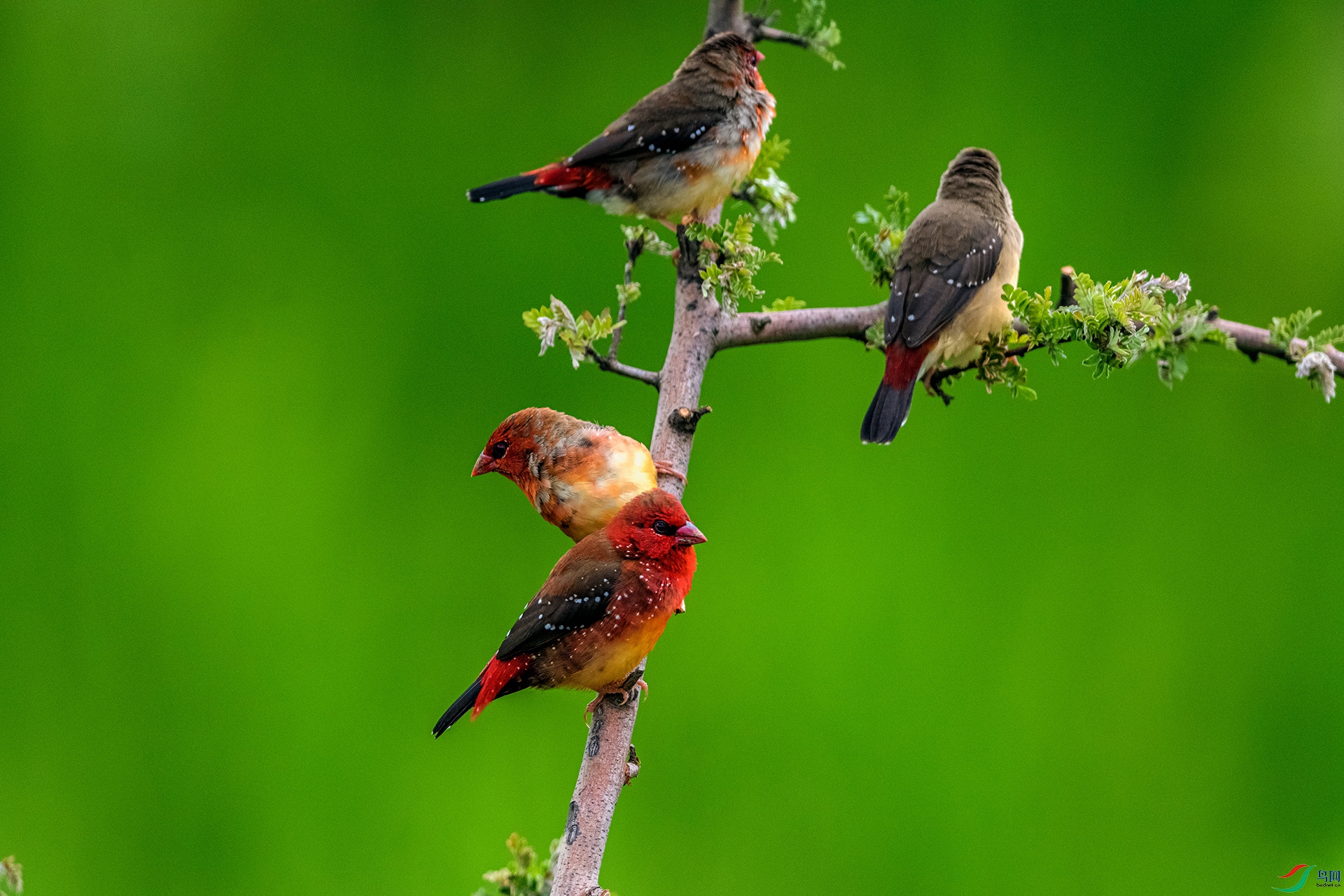 _AUU5438 ��÷��ȸ(25.7.7).jpg