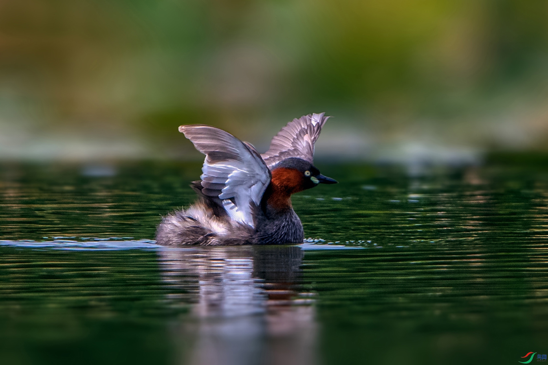 _AUU6278С�G�f(24.6.28).jpg