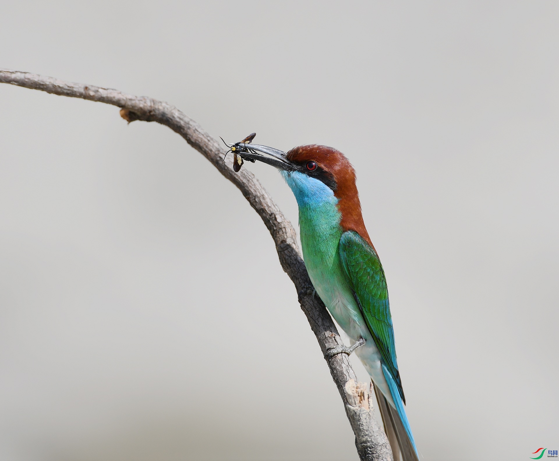 DSC_5238.jpg
