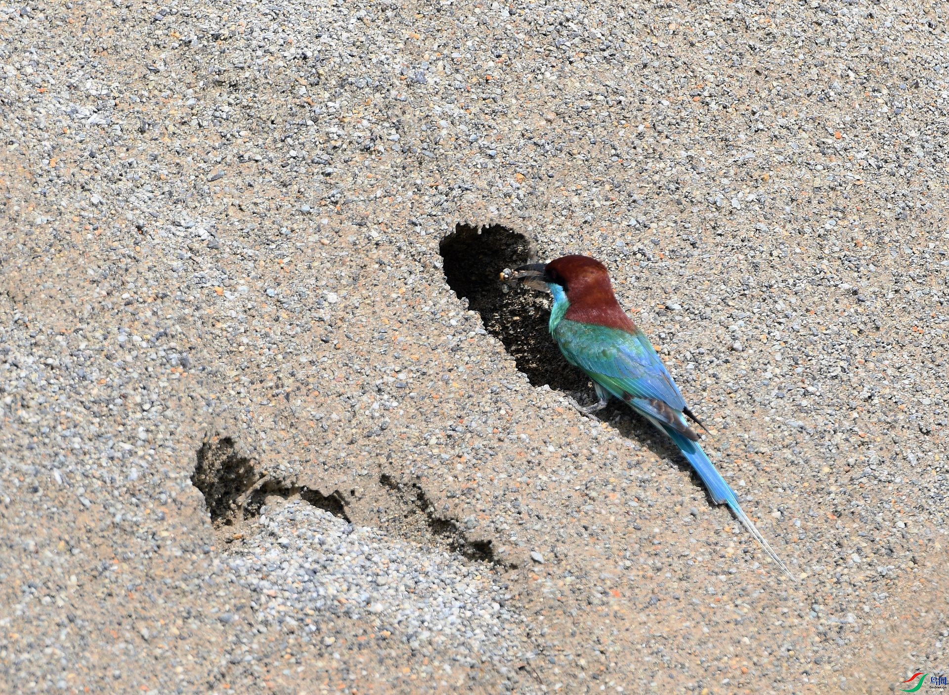 DSC_2109.jpg