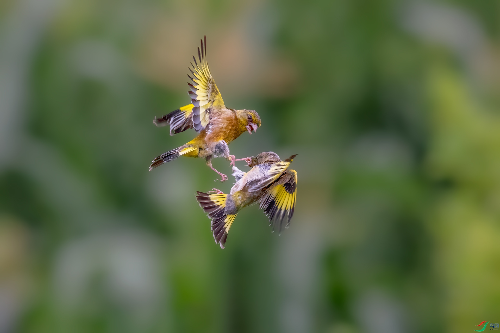 DSC_0141.jpg