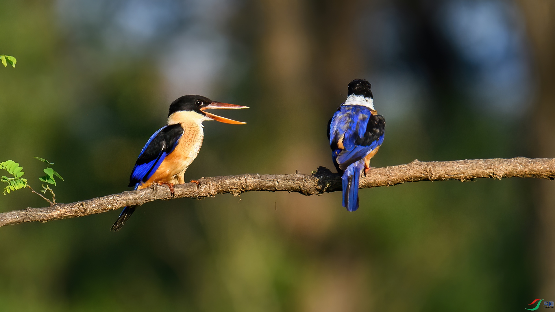 DSC_2566-20260118��.jpg