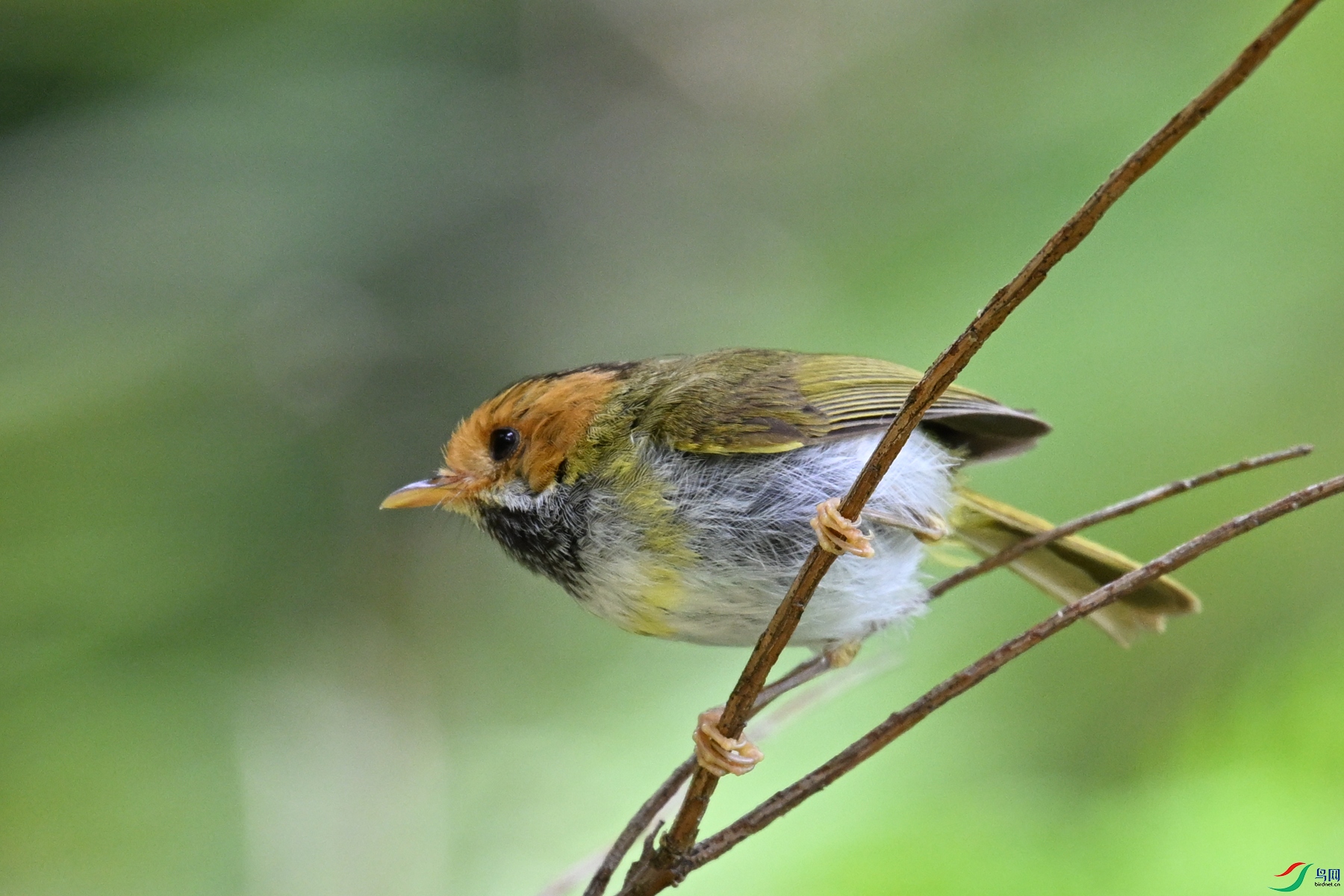 DSC_2205.JPG