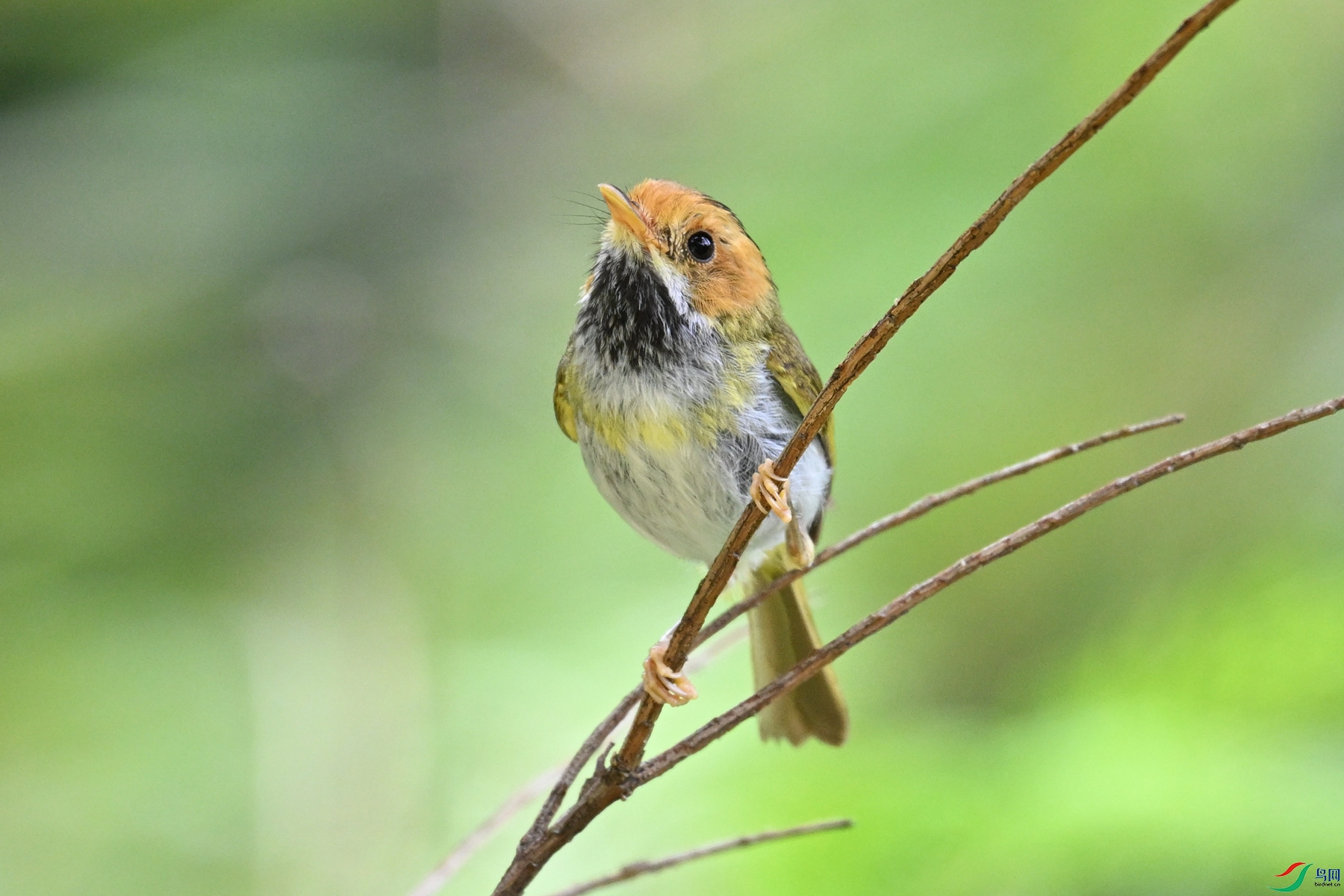 DSC_2195.JPG