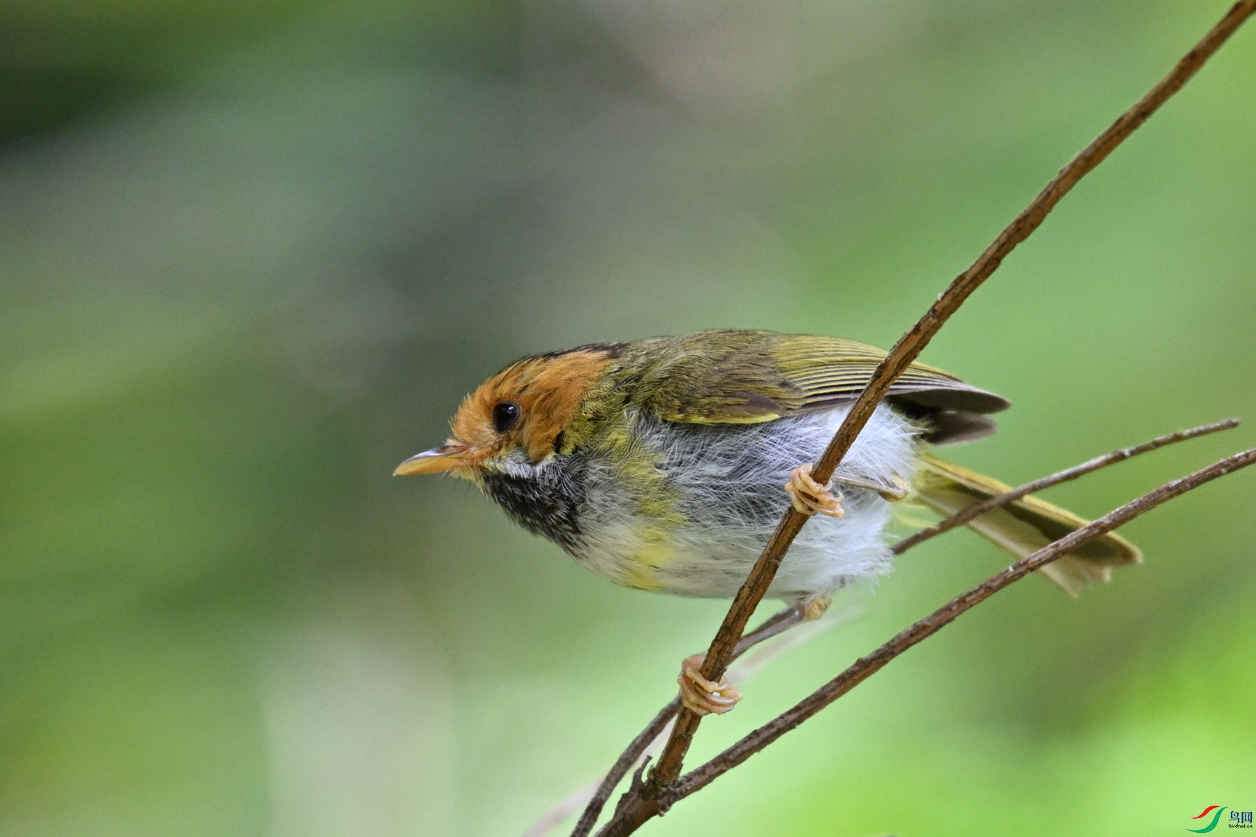 DSC_2207.JPG