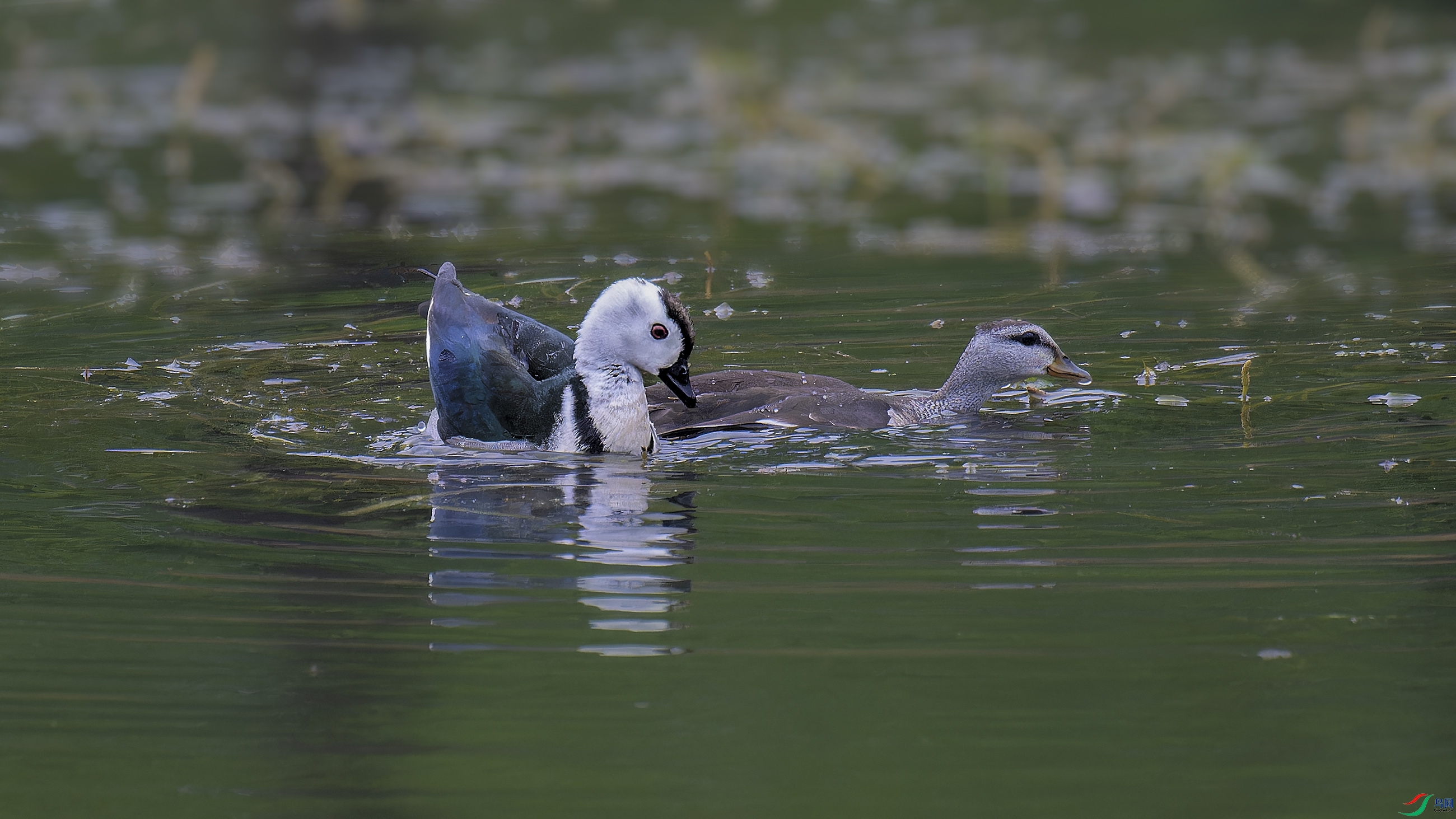 DSC_3905_DxO.jpg