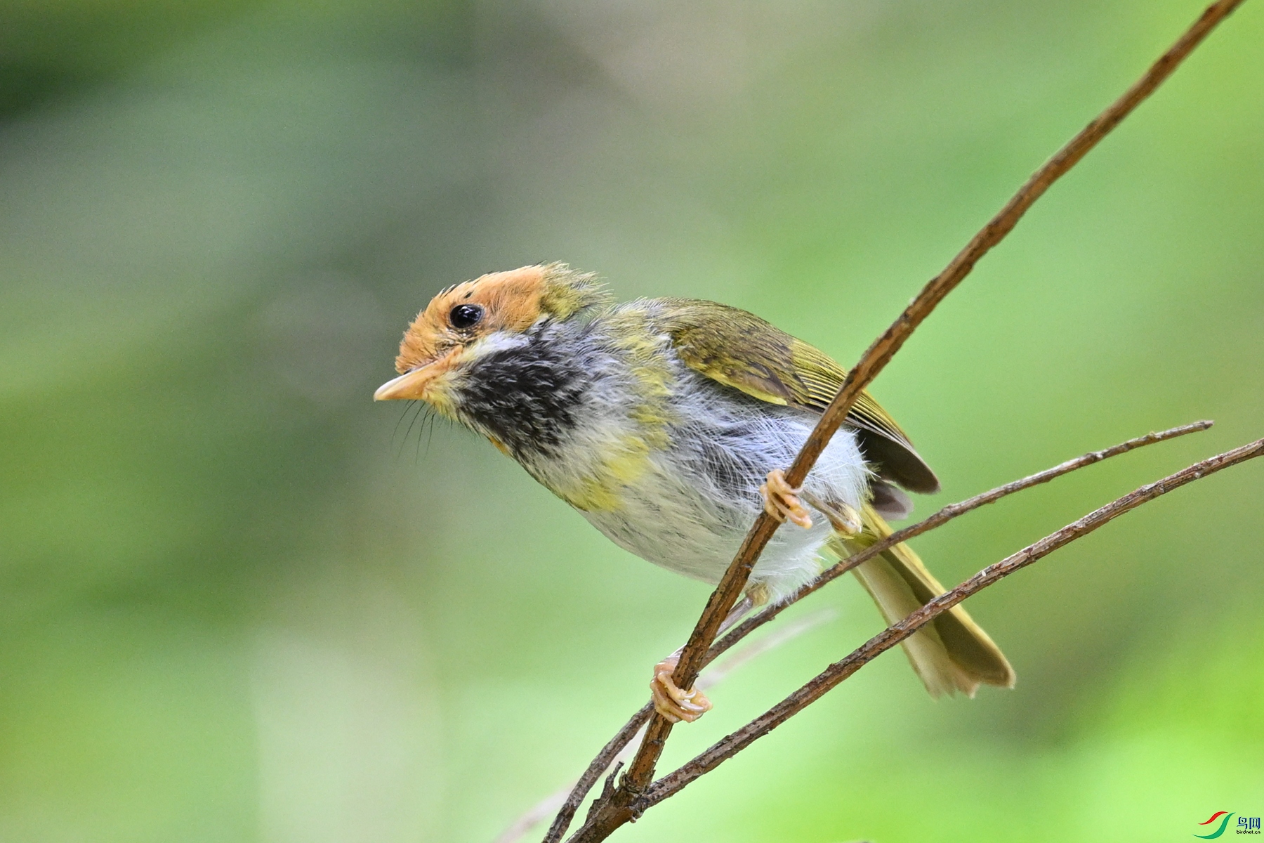 DSC_2203.JPG
