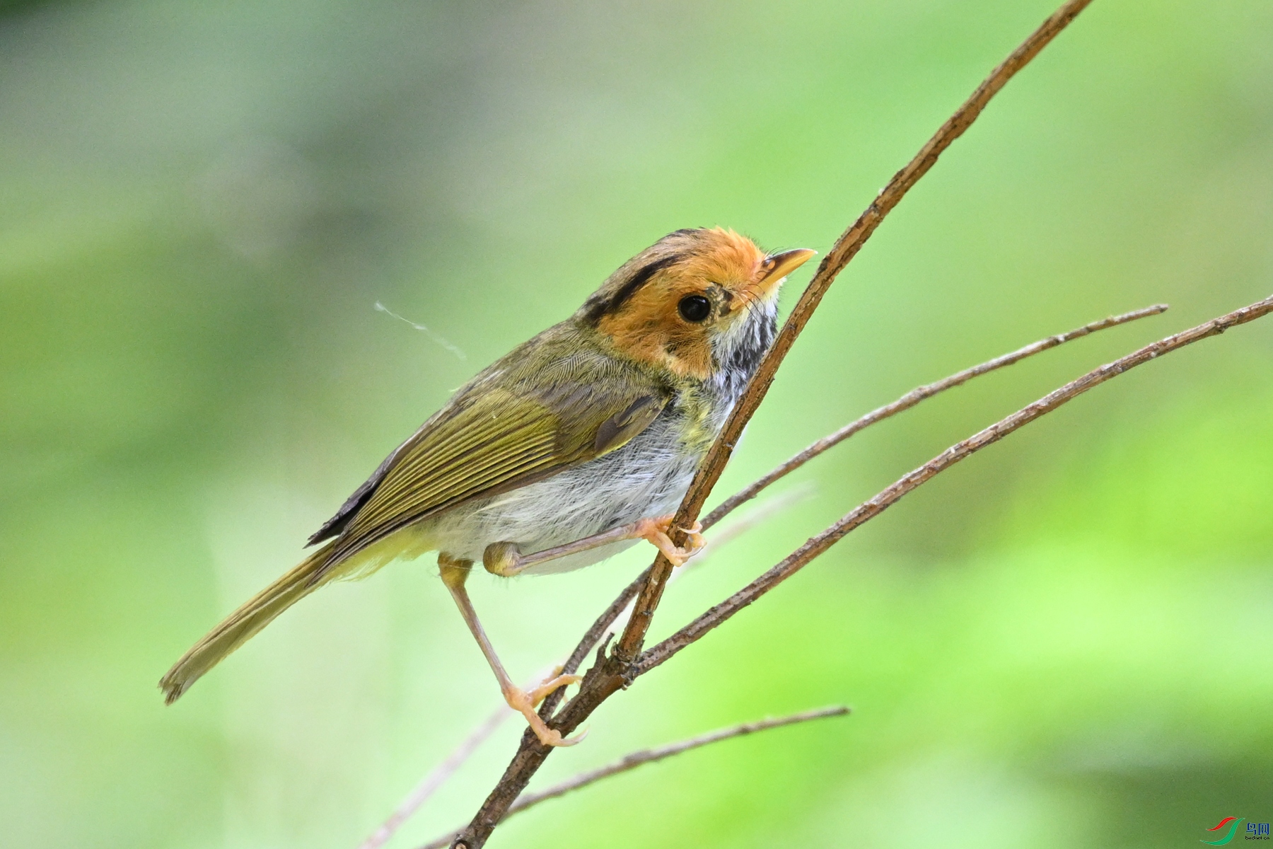 DSC_2187.JPG