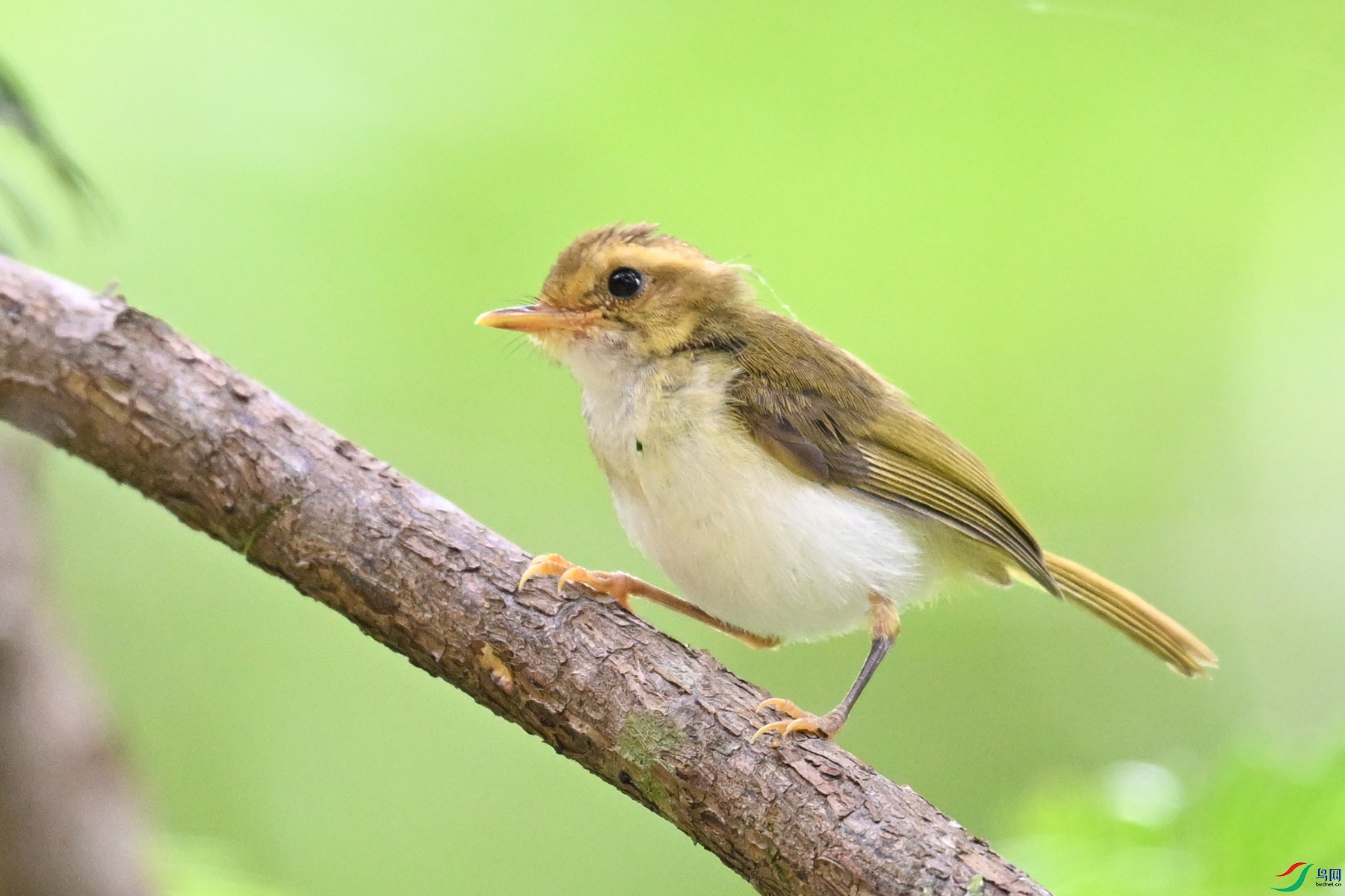 DSC_2183.JPG