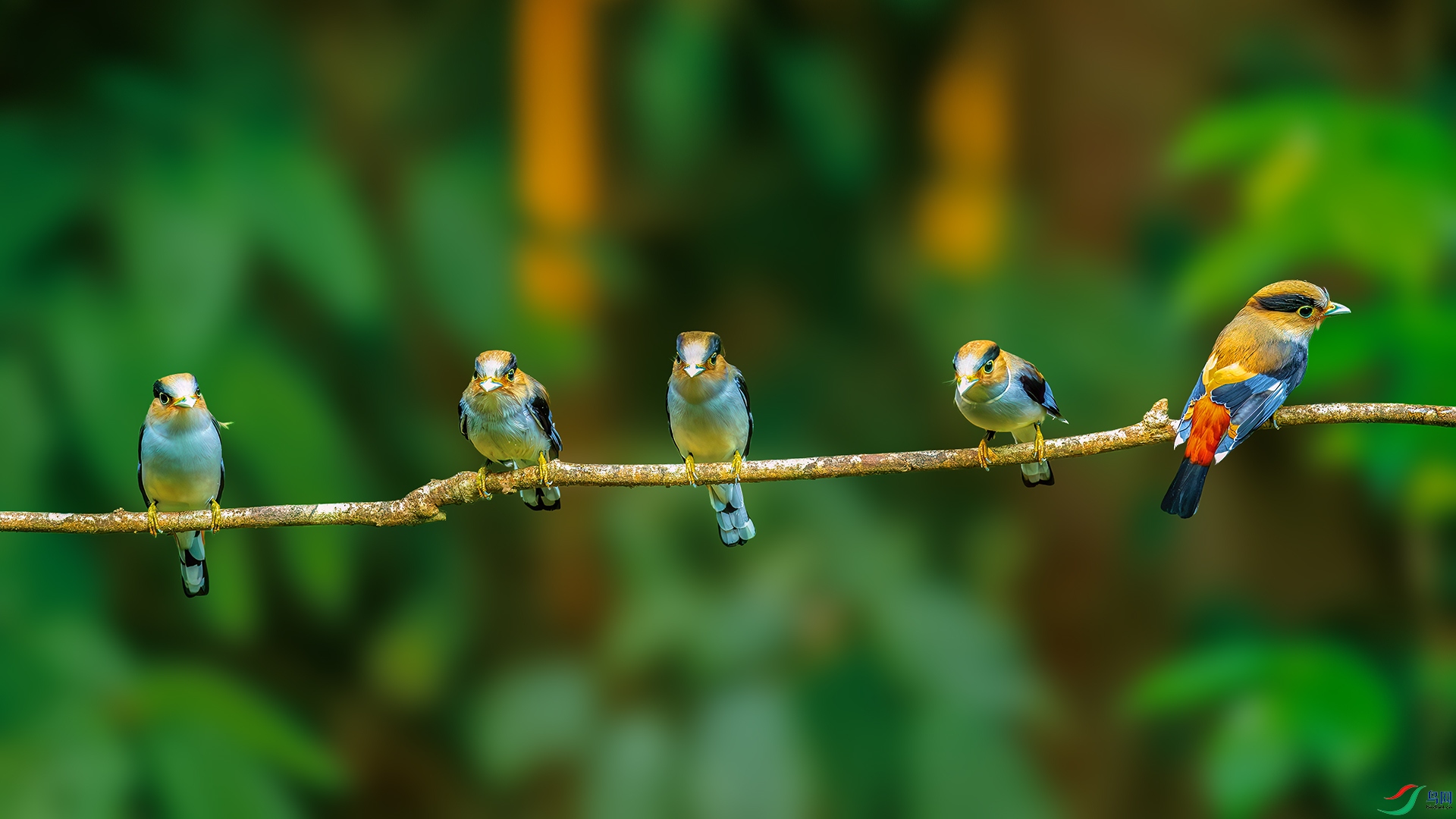 DSC_3541-����ǿ-NR.jpg