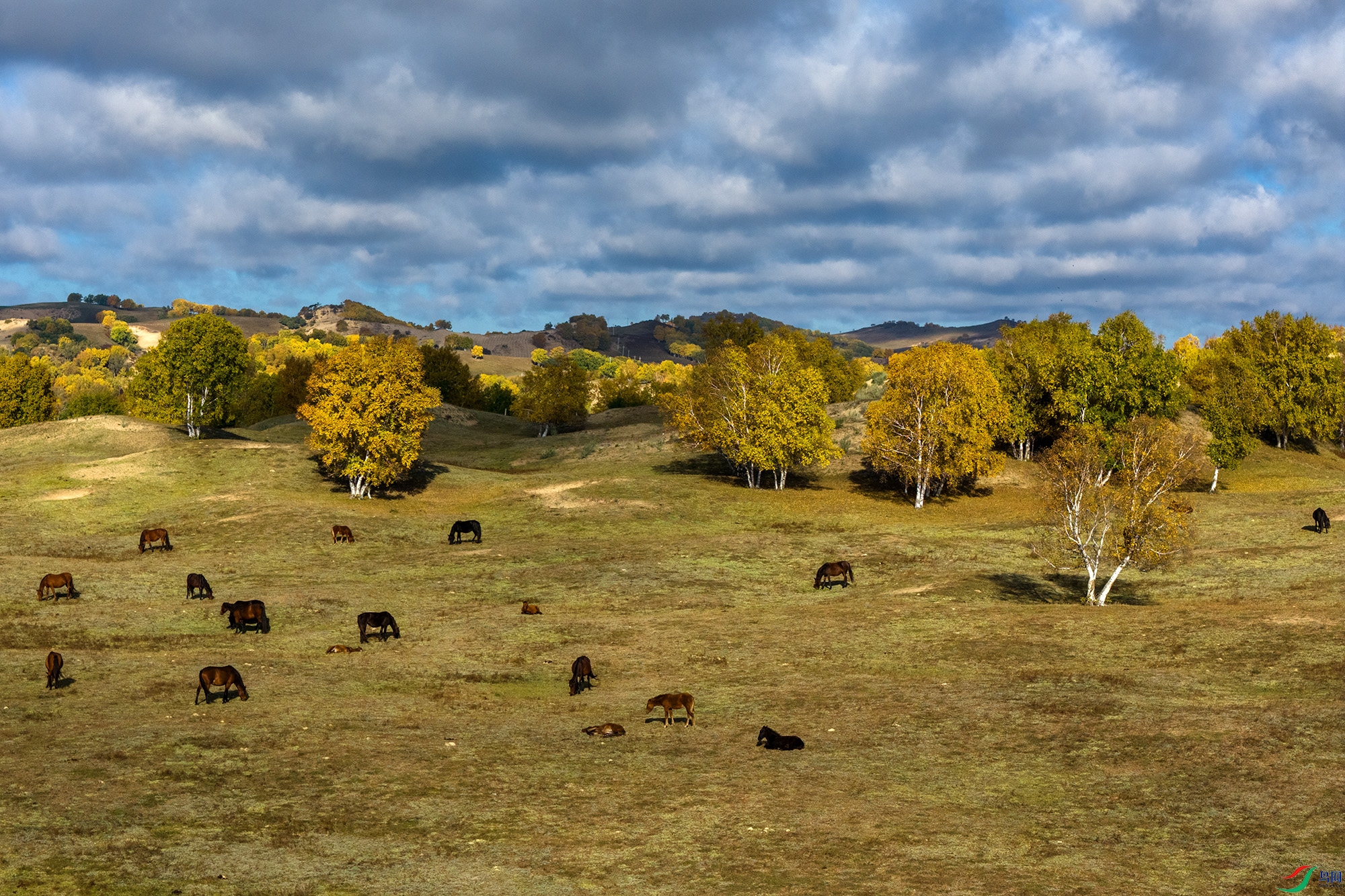 DJI_20250924080108_0197_D ����1.jpg