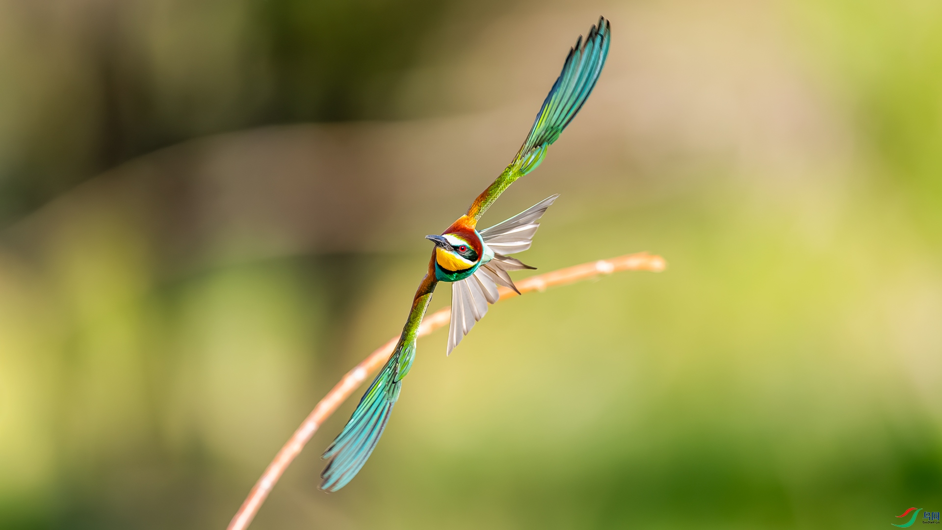 _M8A2398-����ǿ-NR.jpg