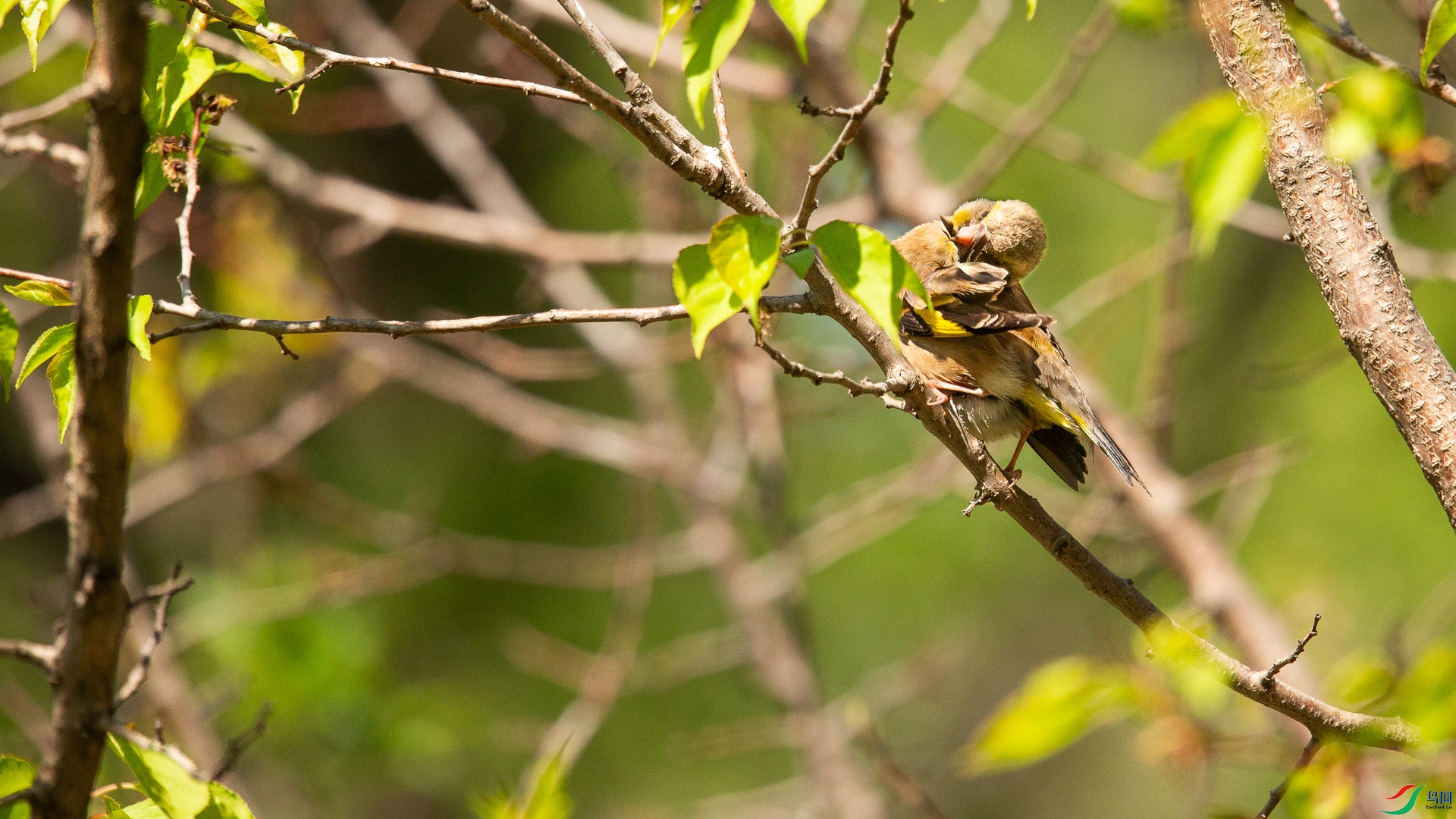 A48Z6888.jpg