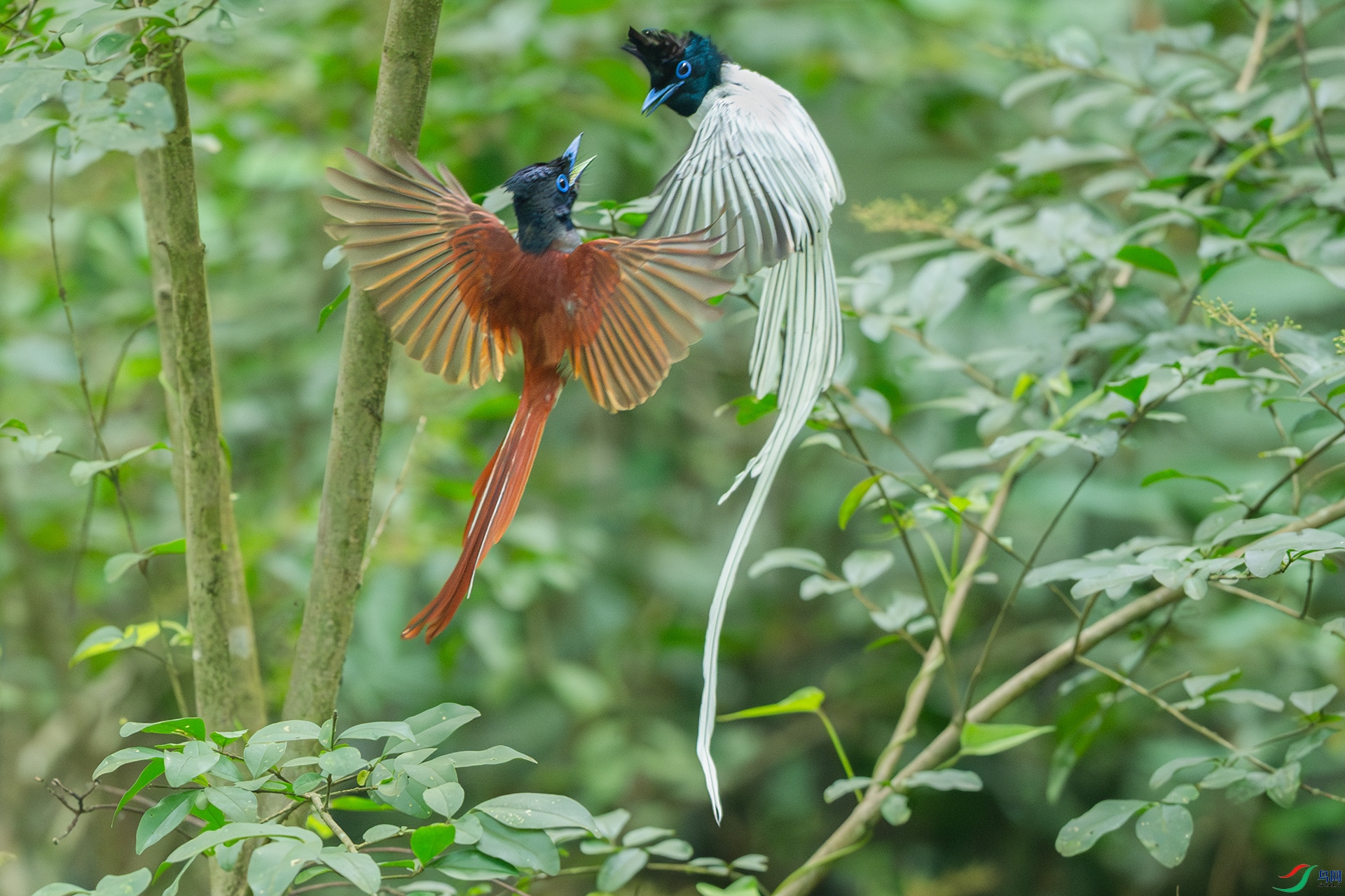 DSC_2107.jpg