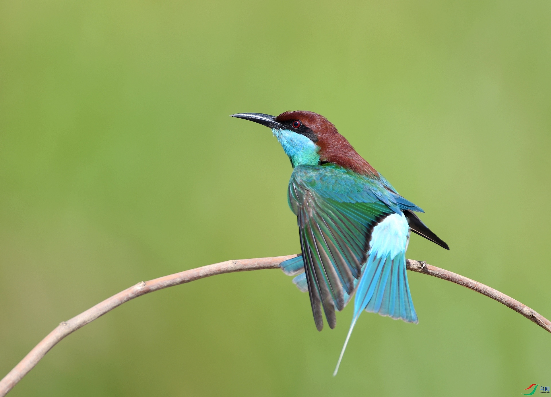 DSC_3585.jpg
