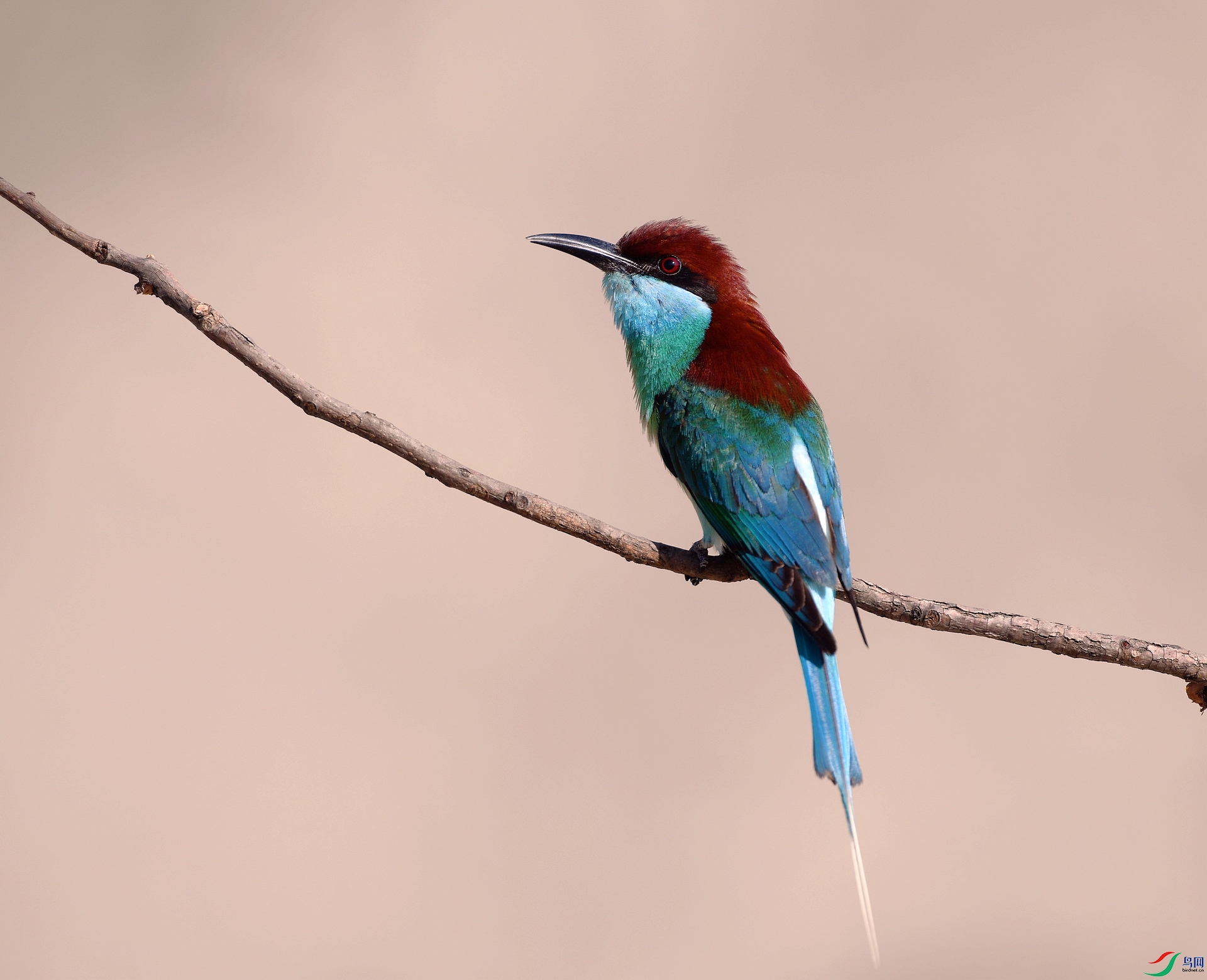 DSC_4794.jpg