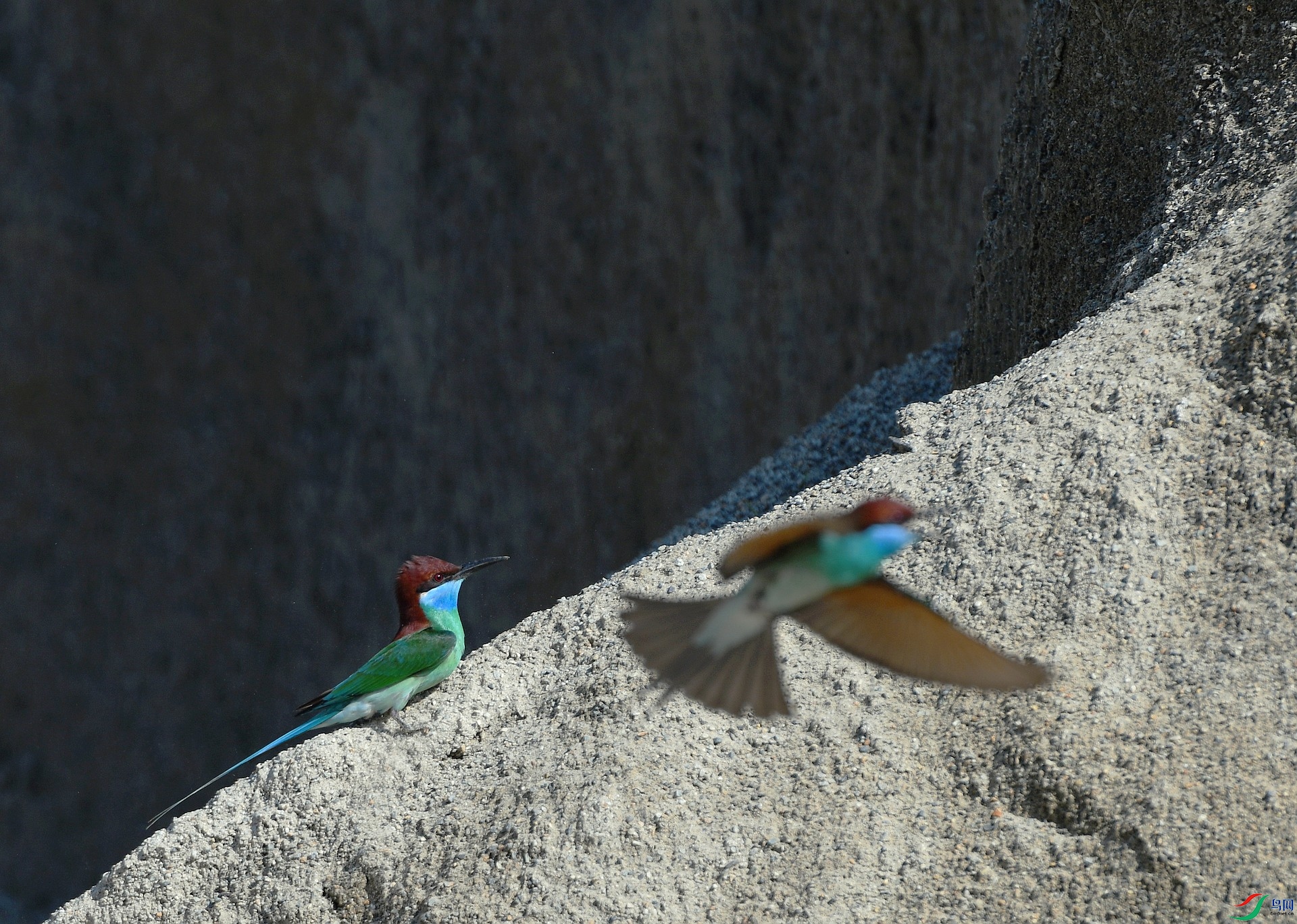 DSC_4769.jpg