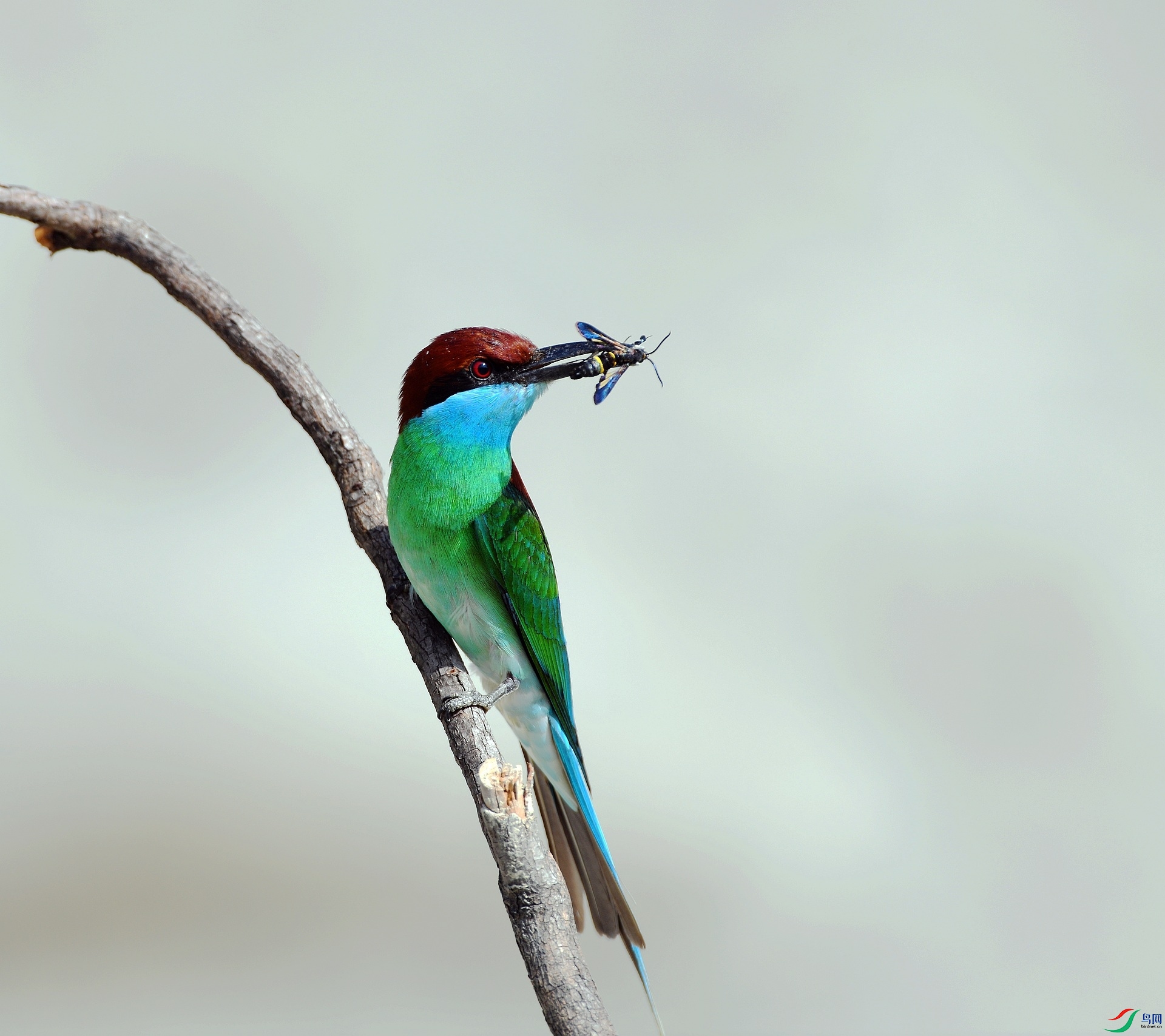 DSC_5245.jpg