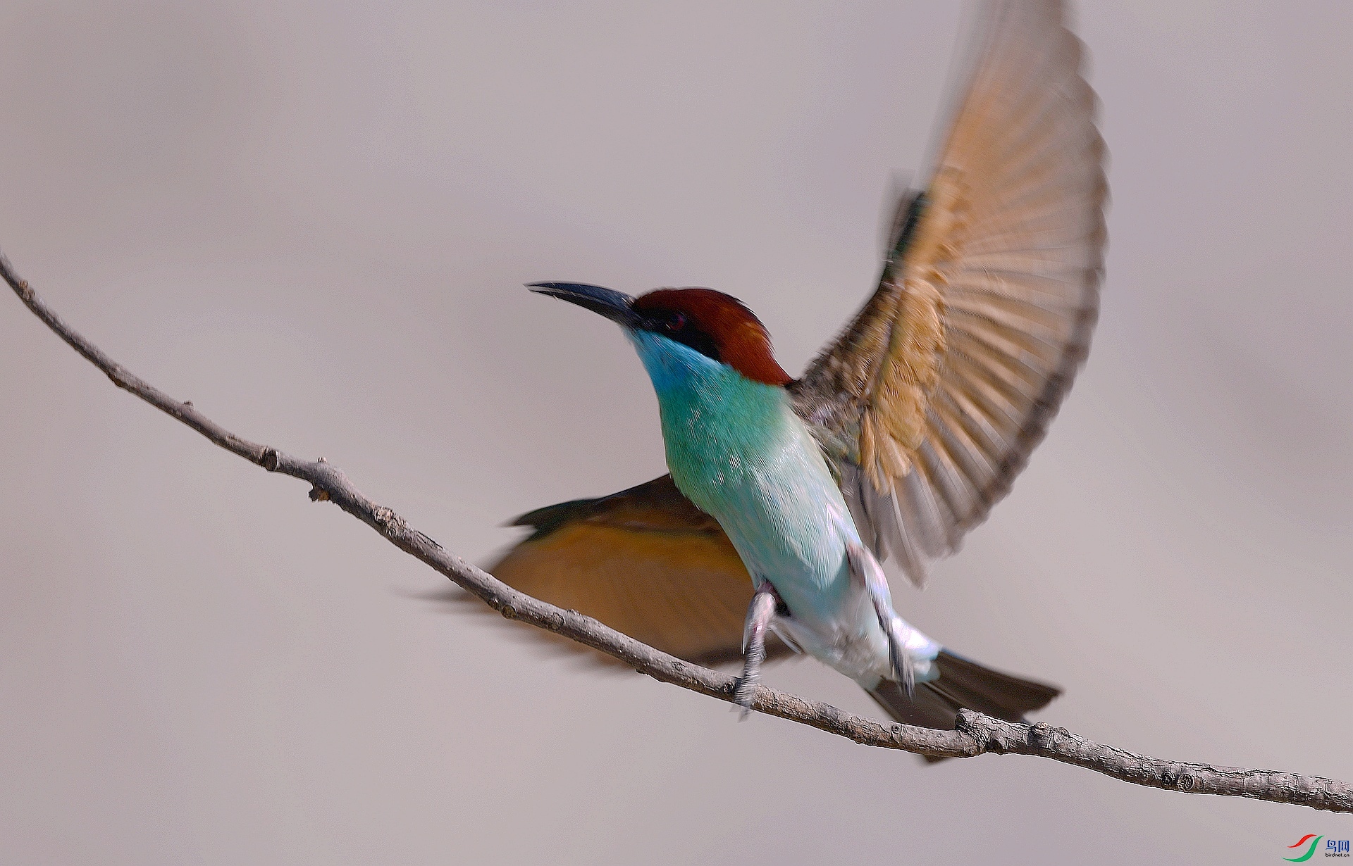 DSC_4689.jpg