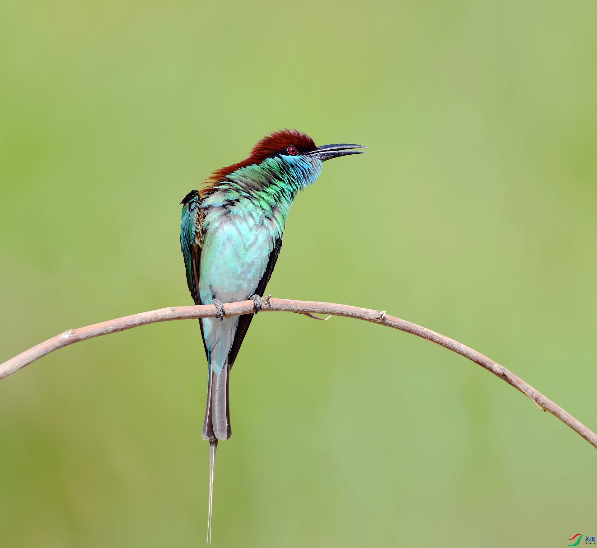 DSC_3699.jpg