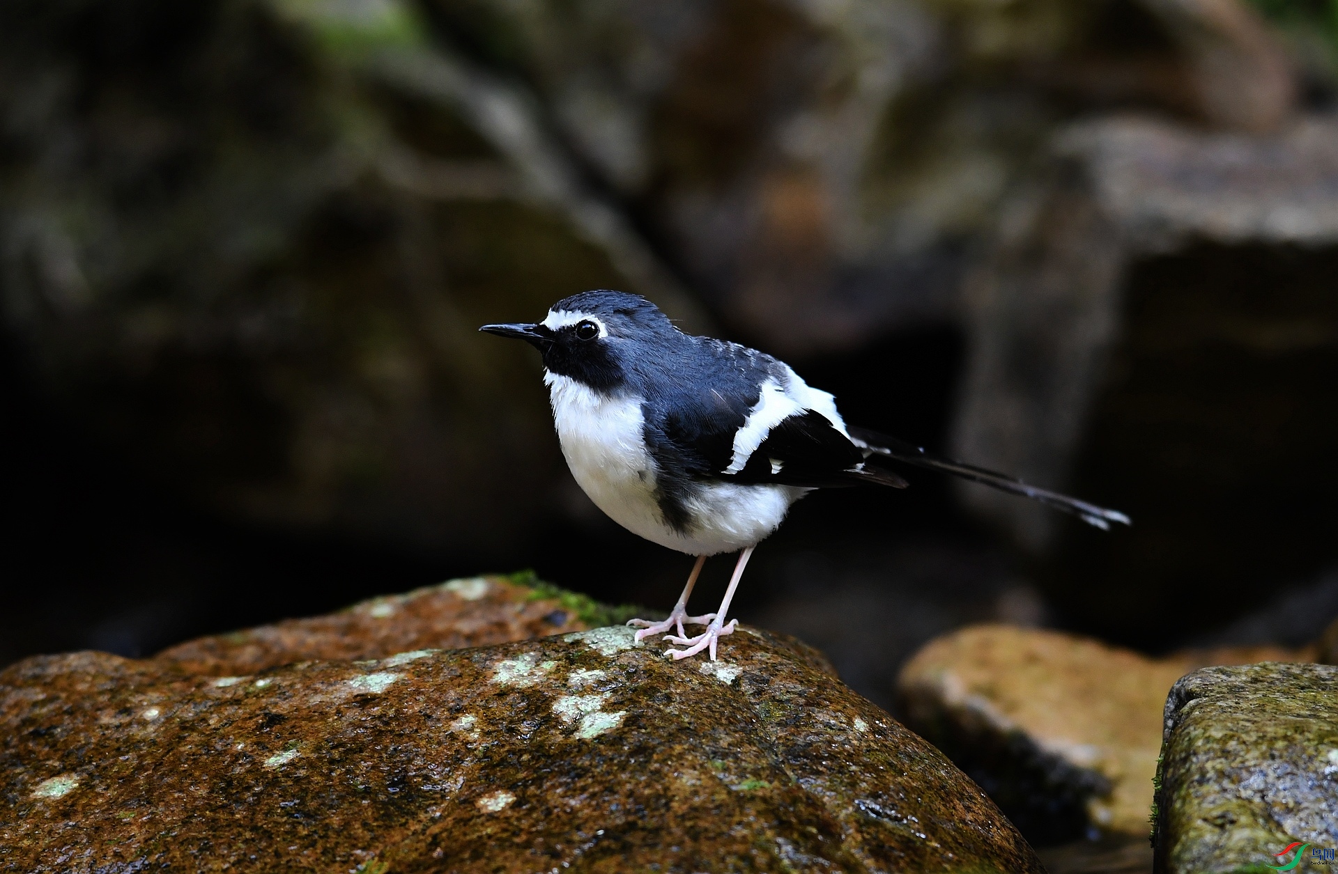 DSC_2570.jpg
