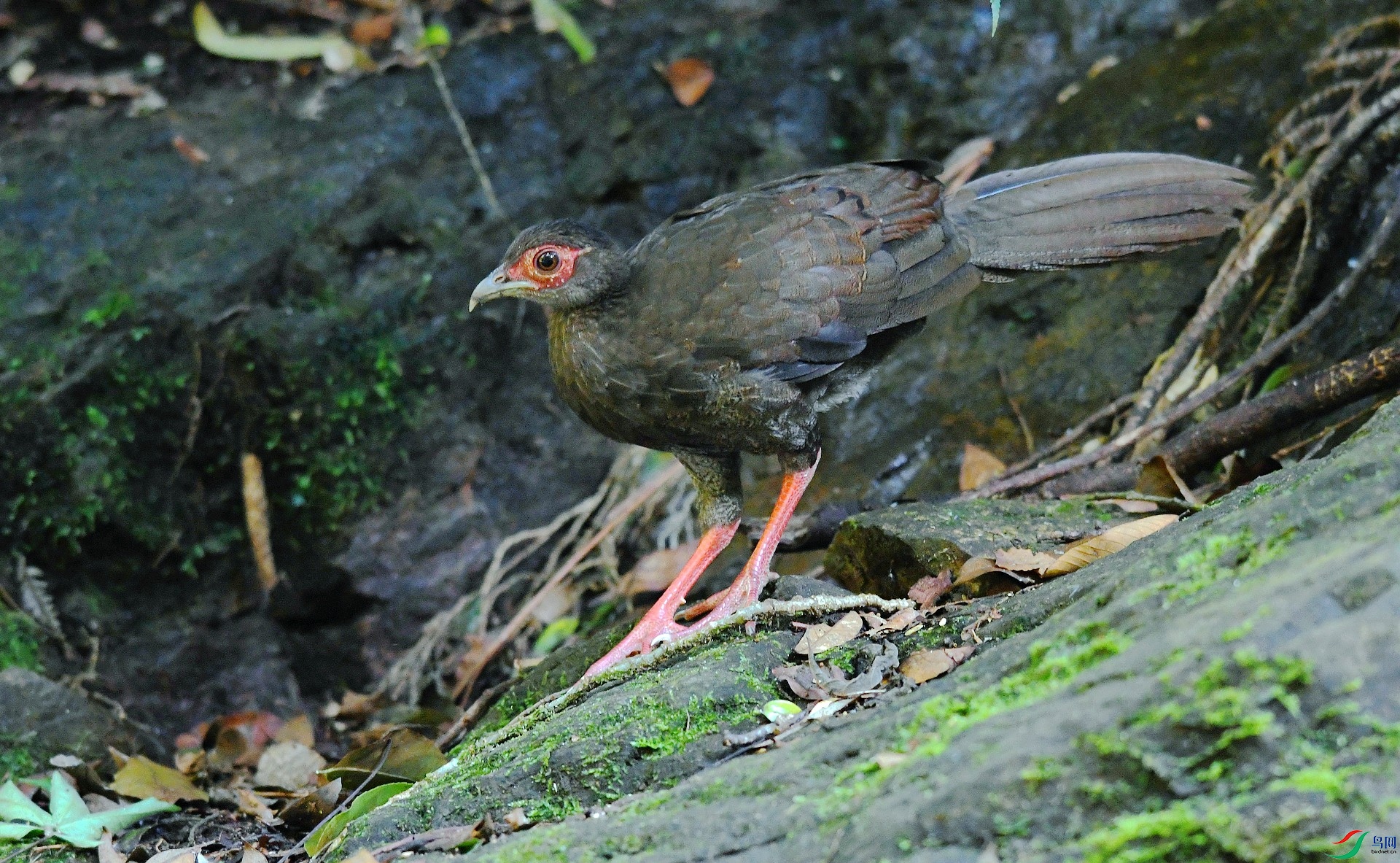 DSC_2621.jpg
