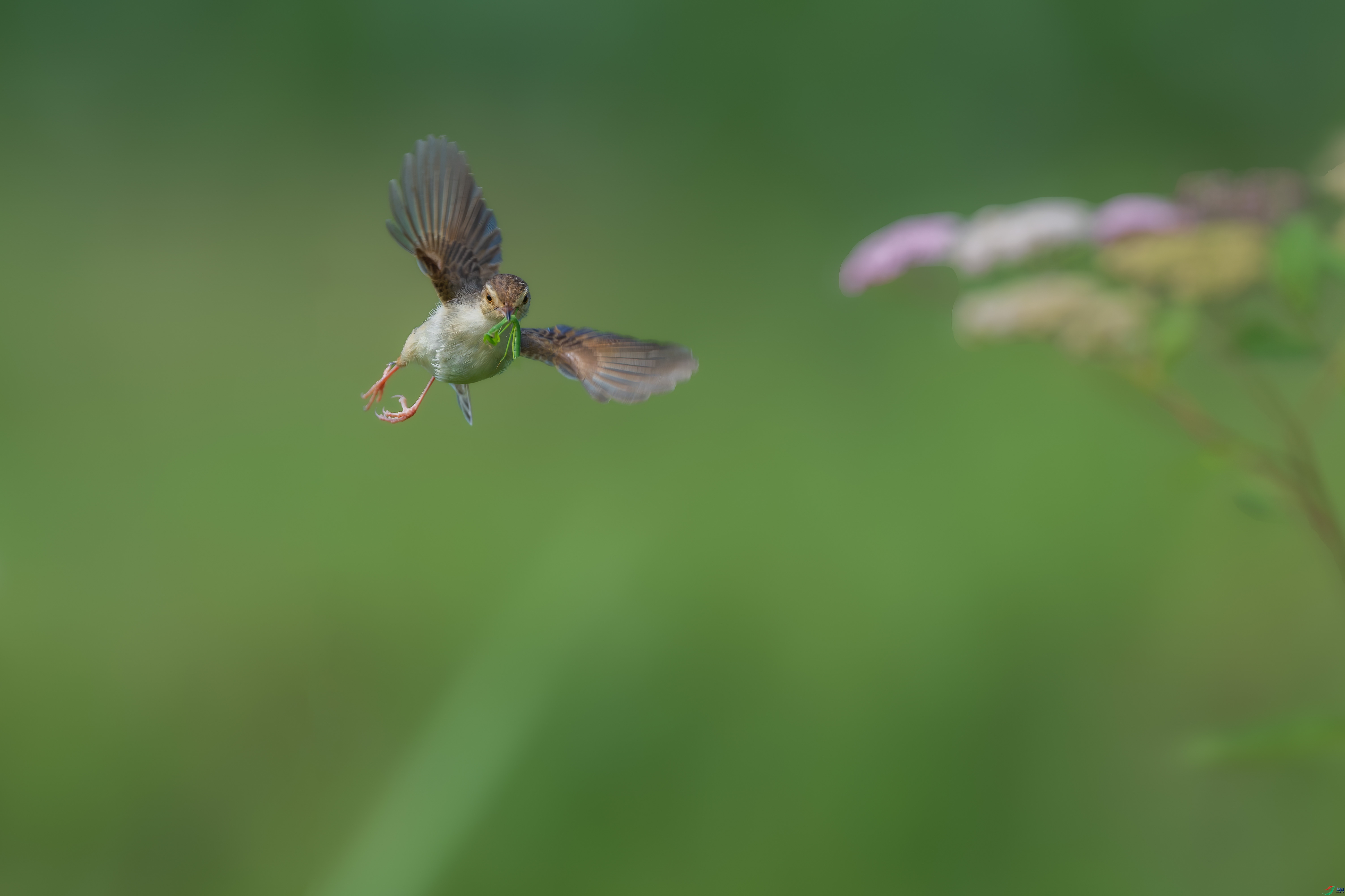 _DSC0223-3-1.jpg