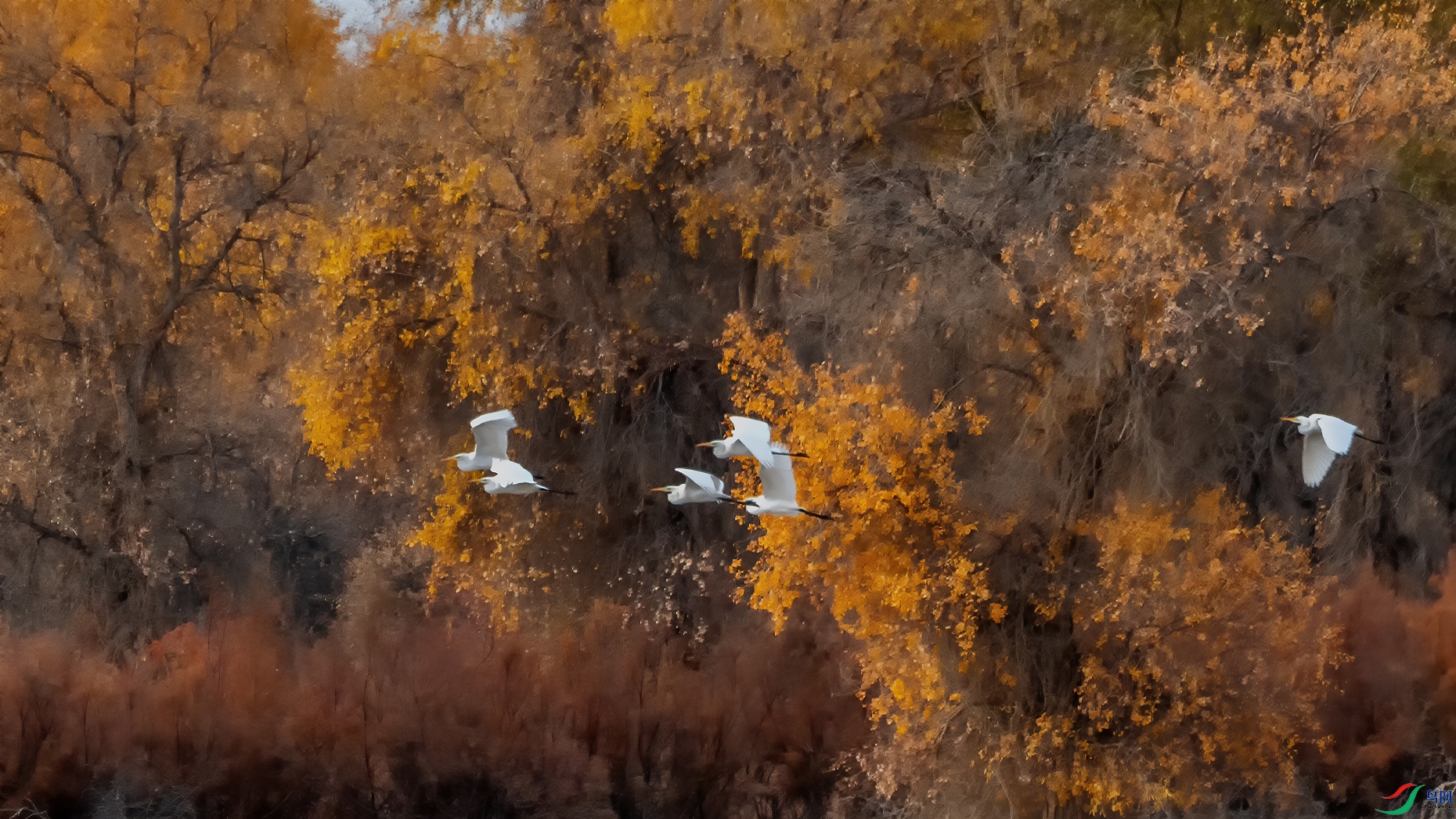 _DSC5355-21.jpg