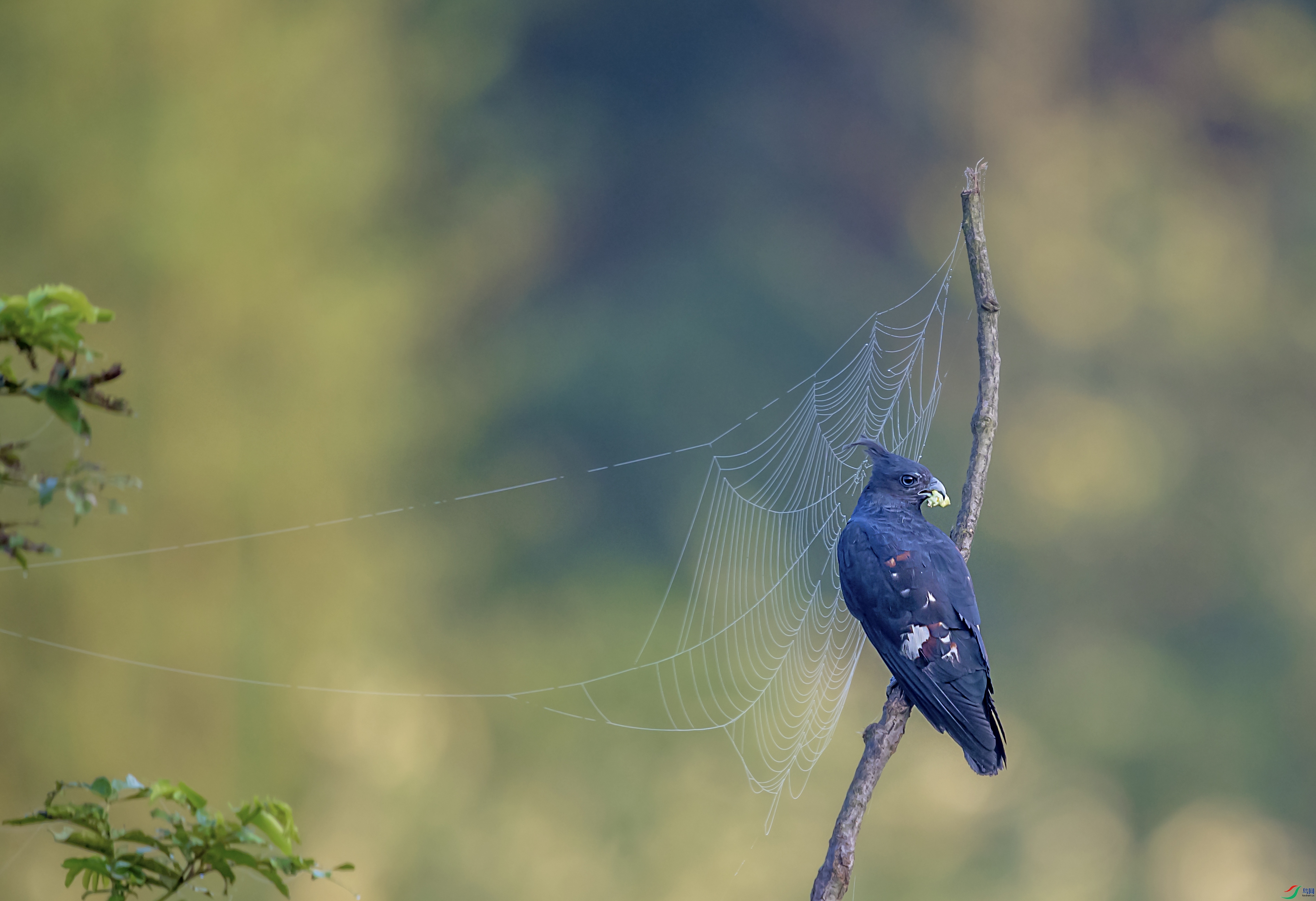 DSC_3293.jpg