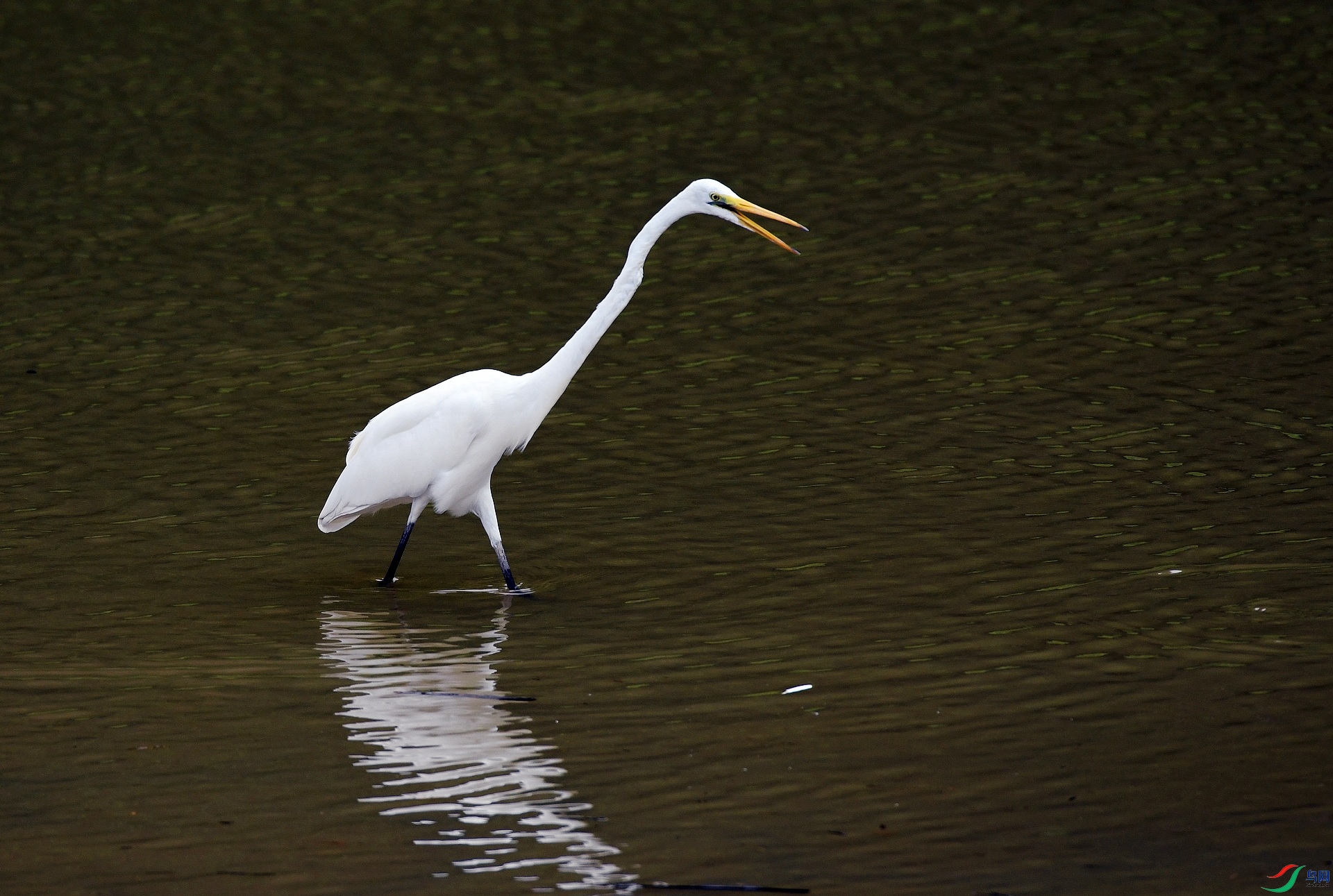 DSC_4897.jpg